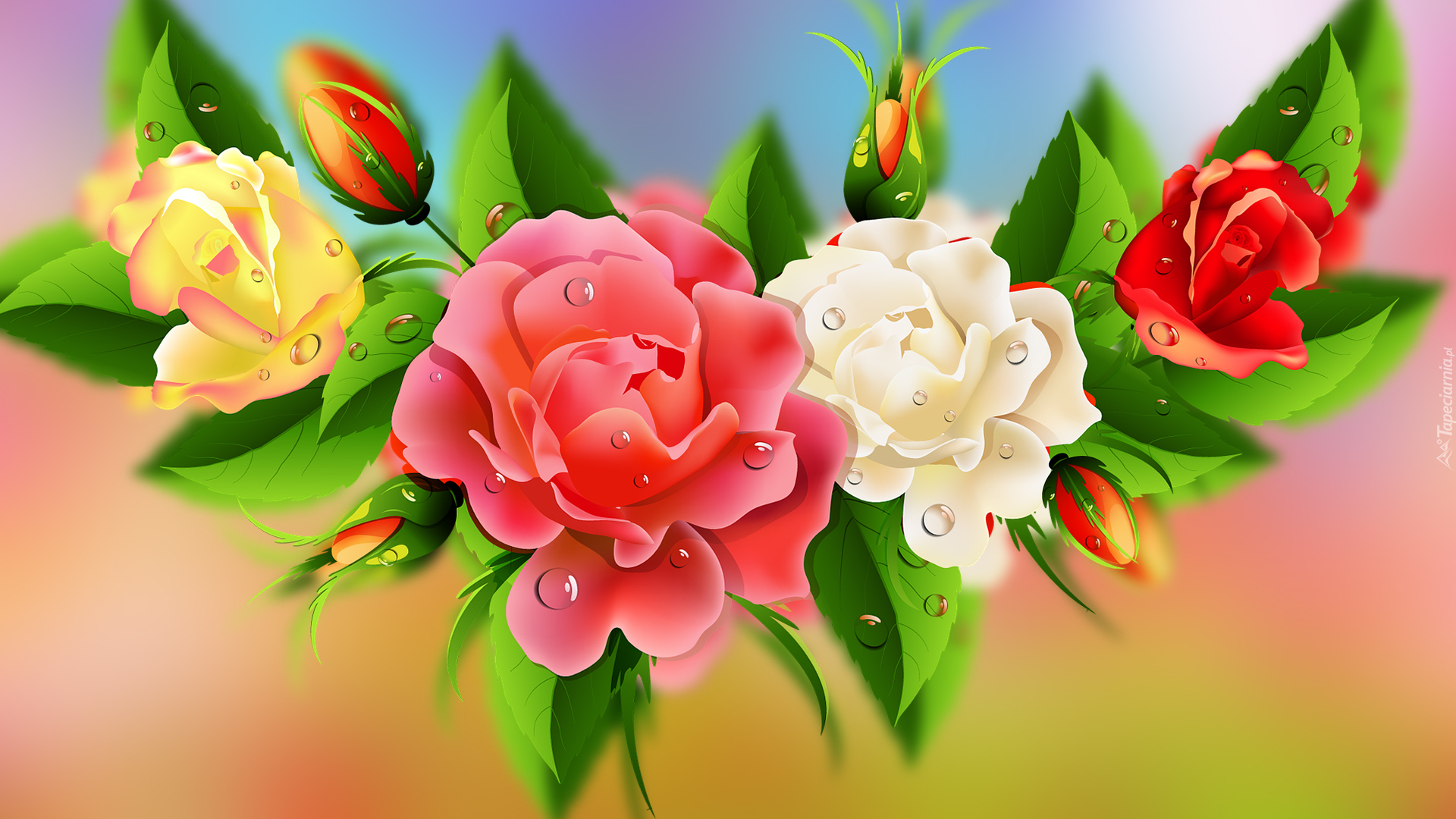 Kwiaty, Róże, 2D
