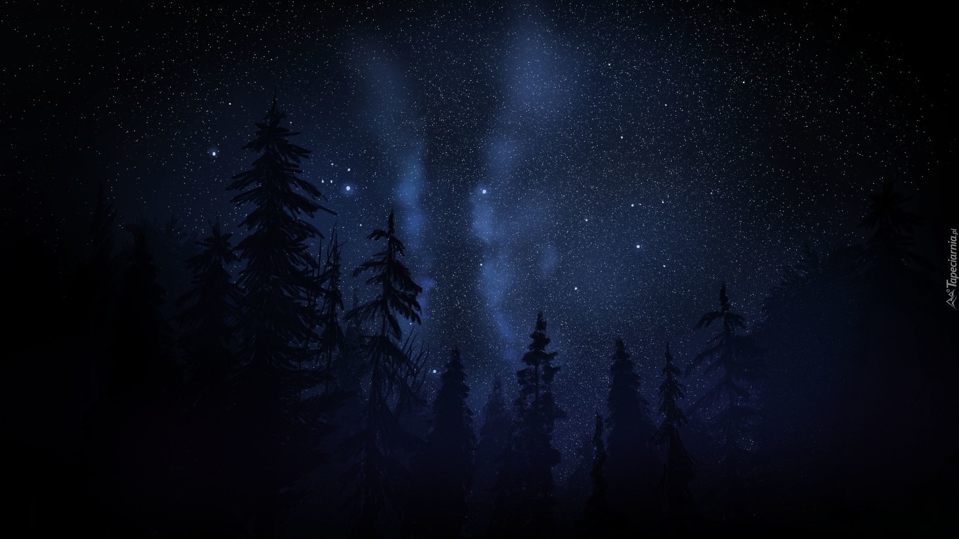 Grafika, Noc, Gwiazdy, Drzewa