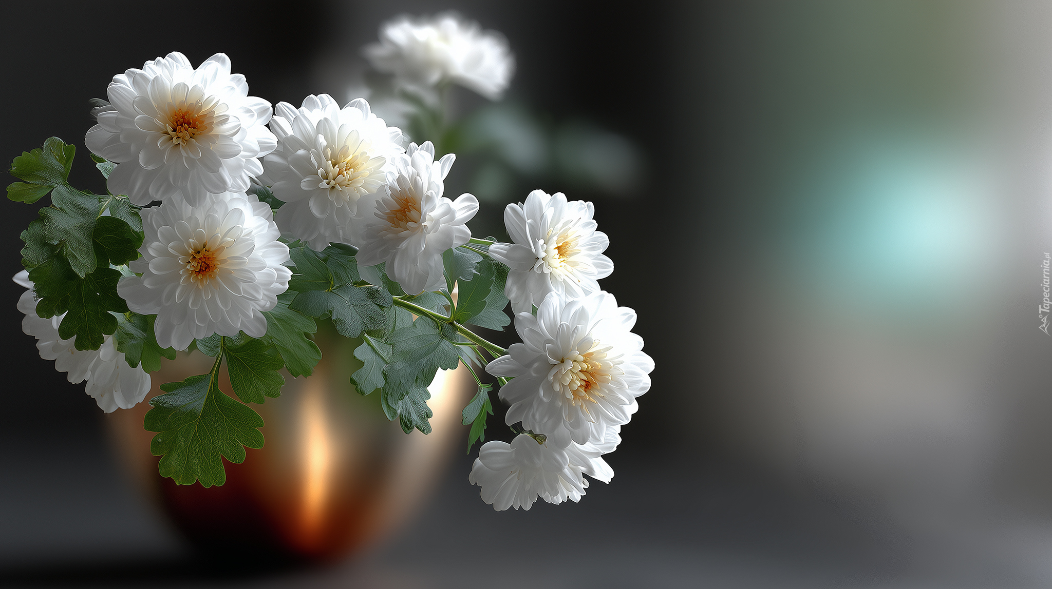 Białe, Chryzantemy, Kwiaty, Grafika AI