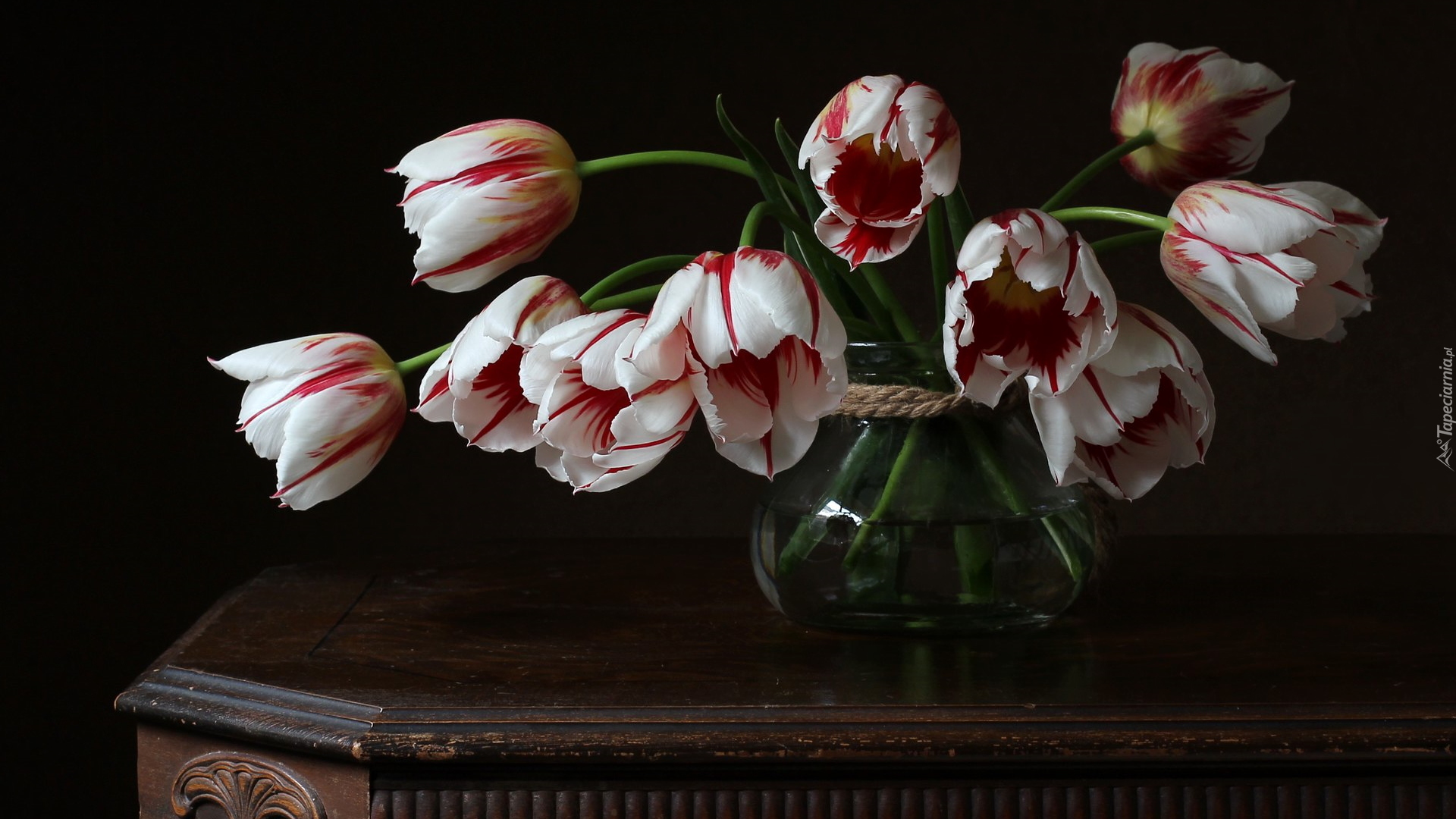 Tulipany, Biało-czerwone, Wazon, Stolik