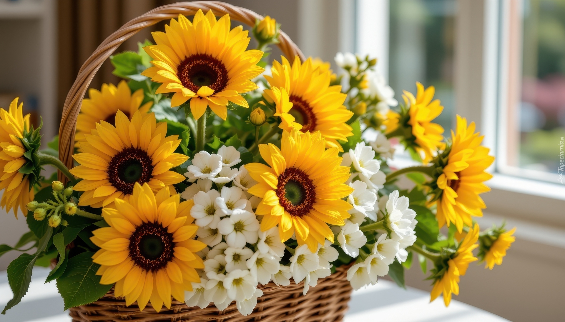 Kwiaty, Słoneczniki, Koszyk