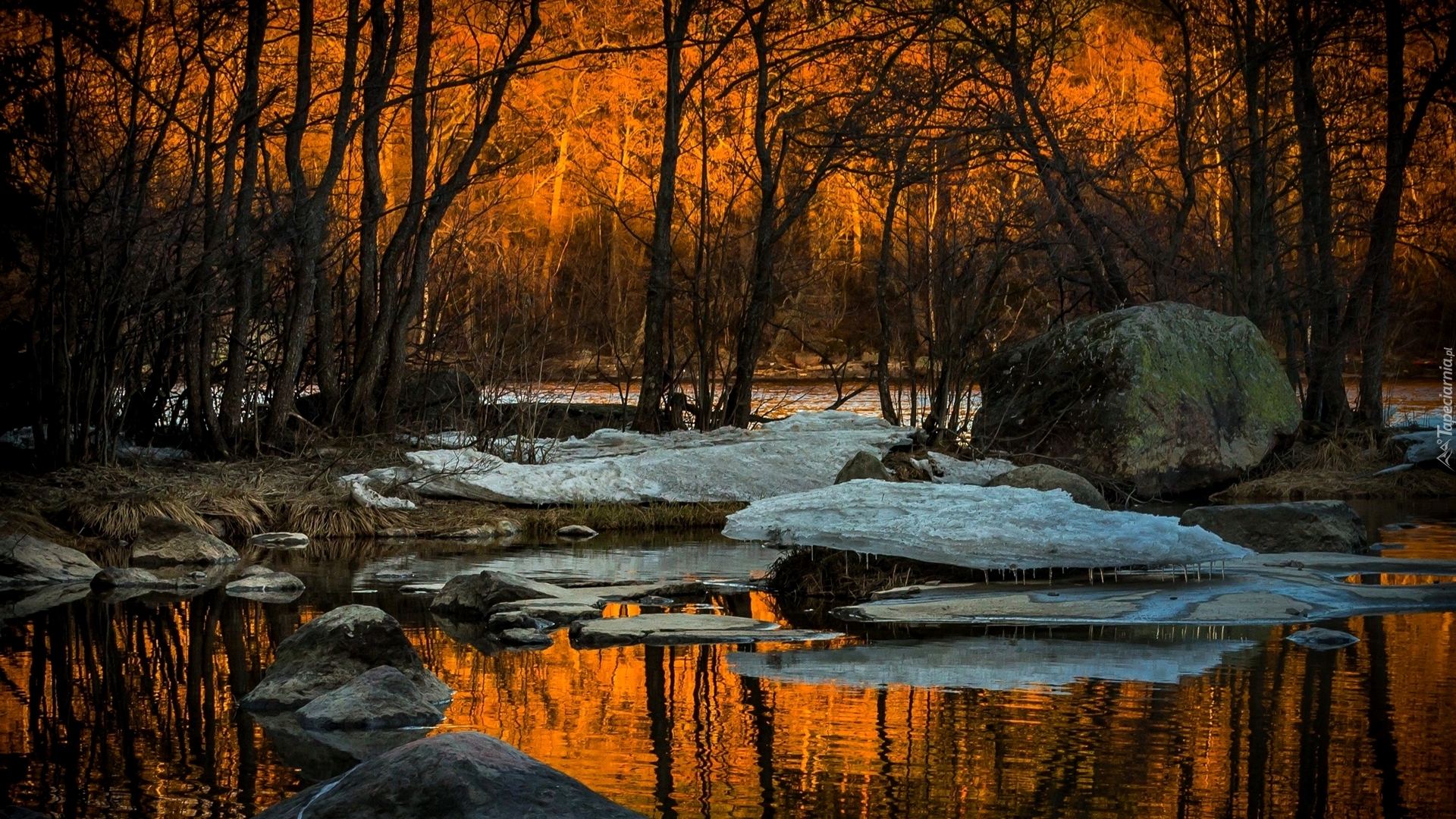 Las, Rozlewiska, Kamienie, Śnieg