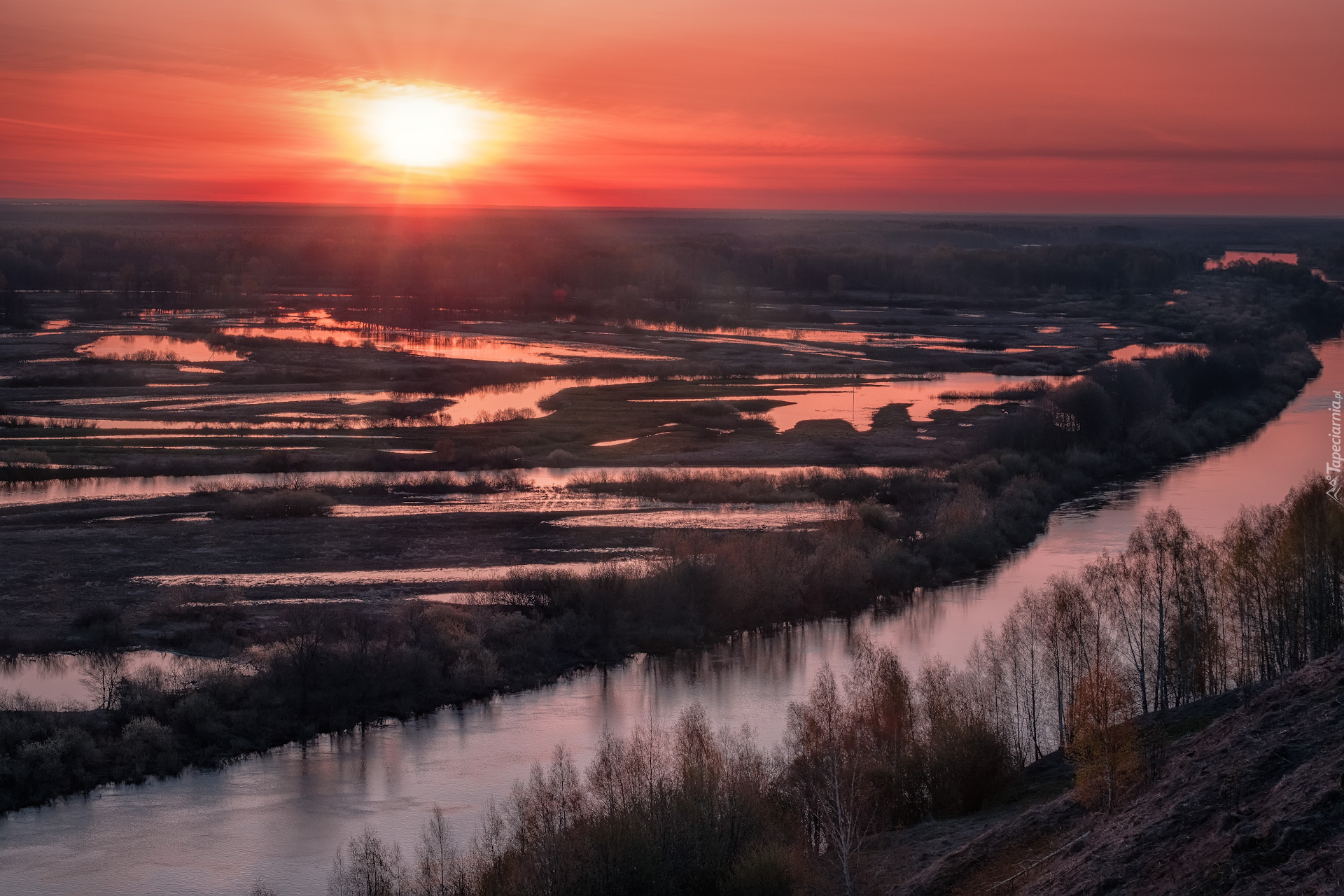 Wschód słońca, Rzeka Klaźma, Drzewa, Obwód moskiewski, Rosja