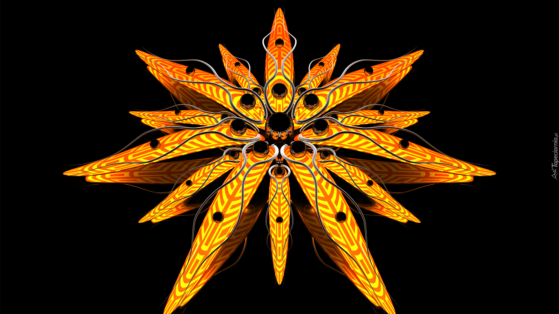 Grafika 3D, Pomarańczowy, Kwiat