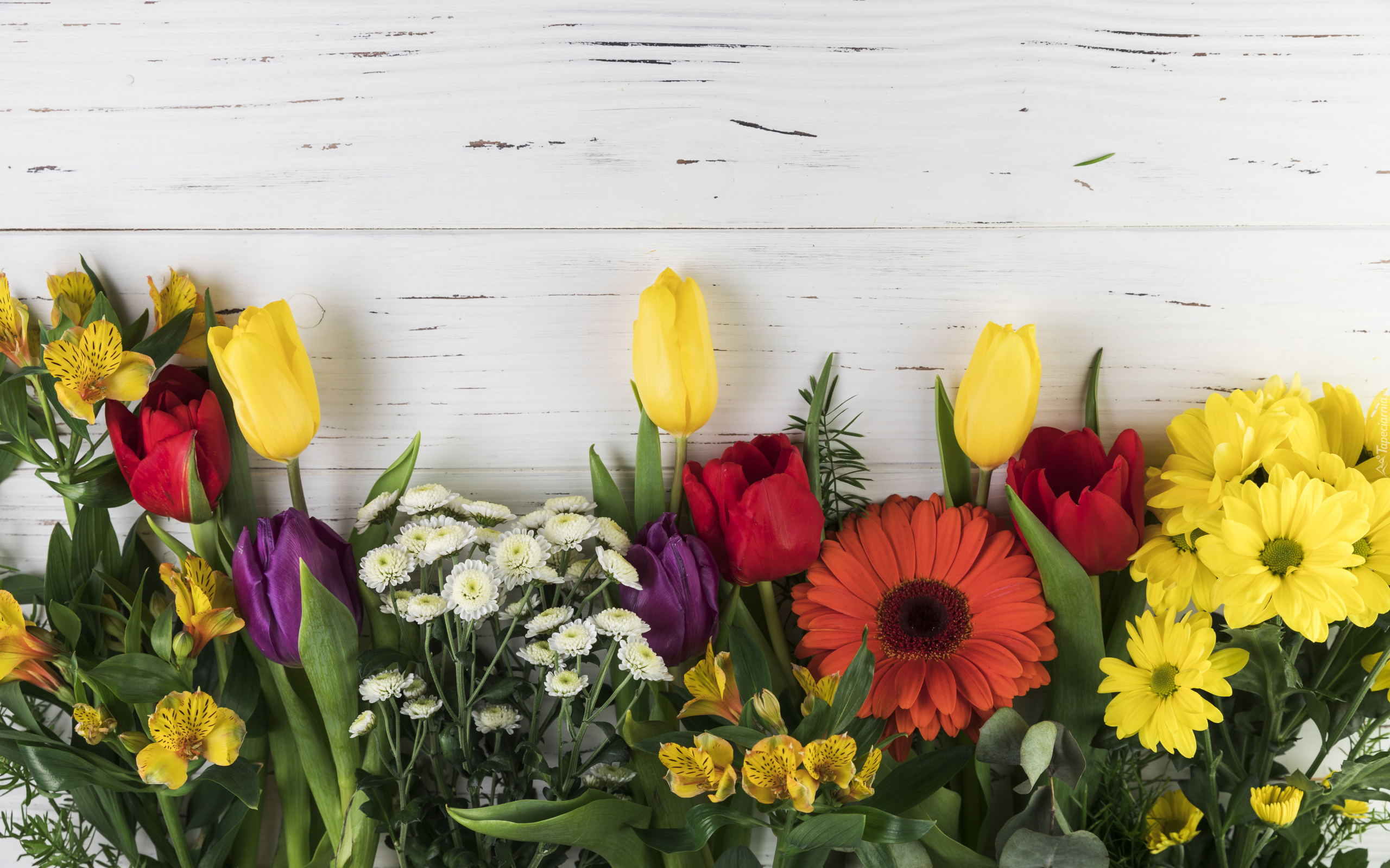 Kwiaty, Tulipany, Gerbera, Chryzantemy, Alstremerie