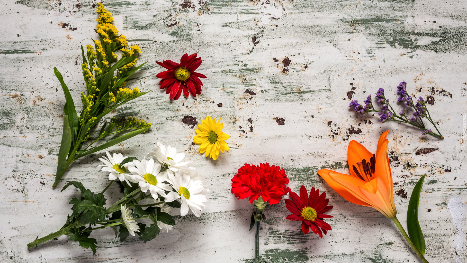 Kwiaty, Chryzantemy, Lilia, Goździk, Nawłoć, Drewno