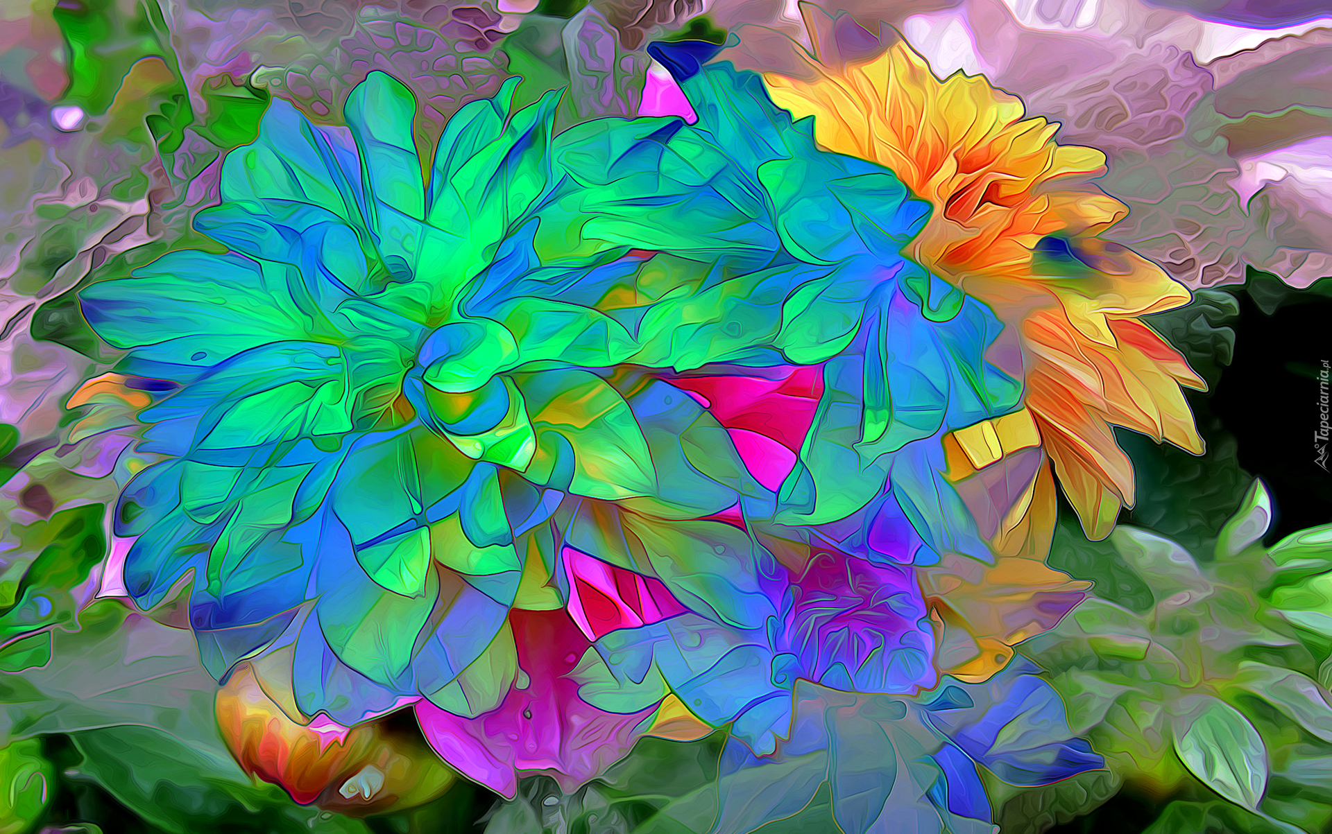 Kwiaty, Kolorowe, Fractalius