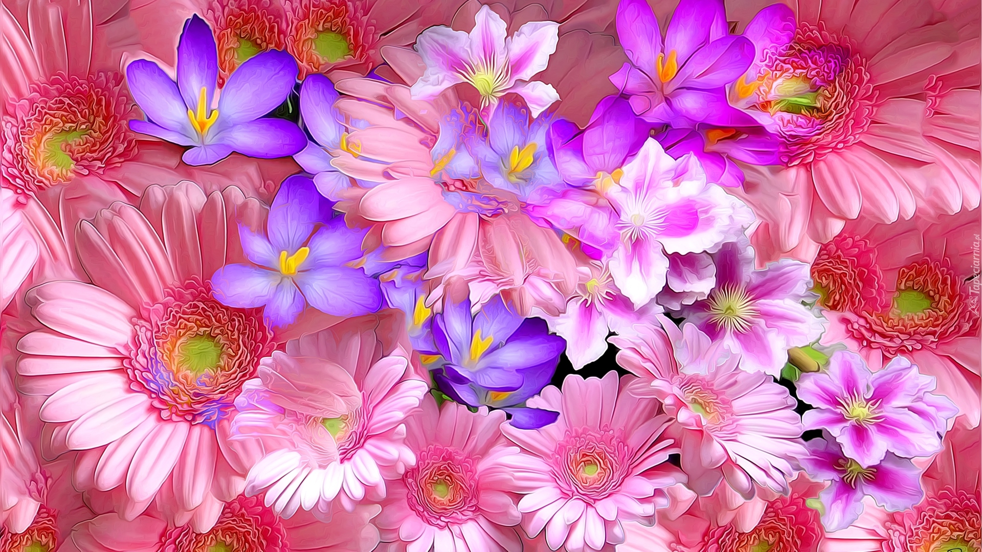 Fractalius, Różowe, Niebieskie, Kwiaty