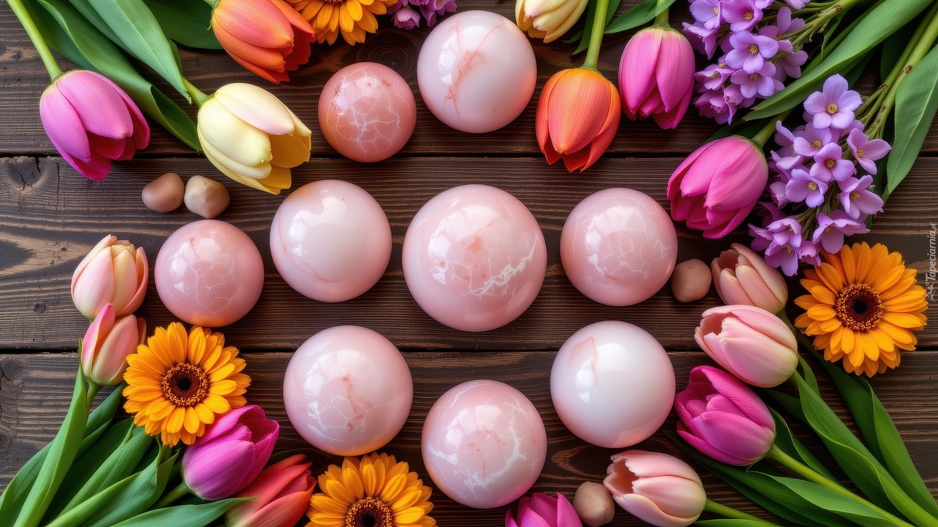 Różowe, Kule, Kolorowe, Kwiaty, Tulipany, Deski