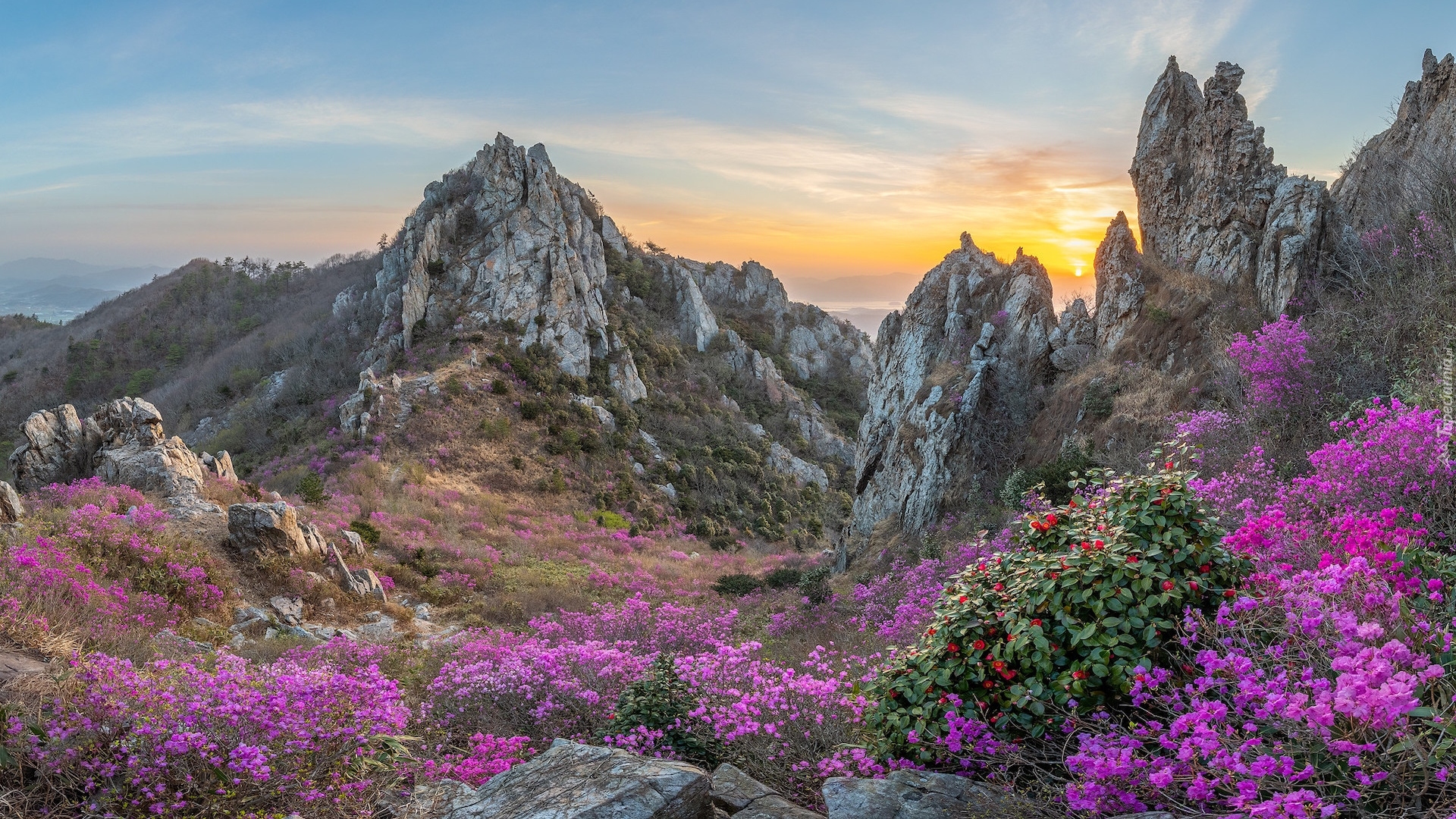 Korea Południowa, Góry Jujaksan, Skały, Kwiaty