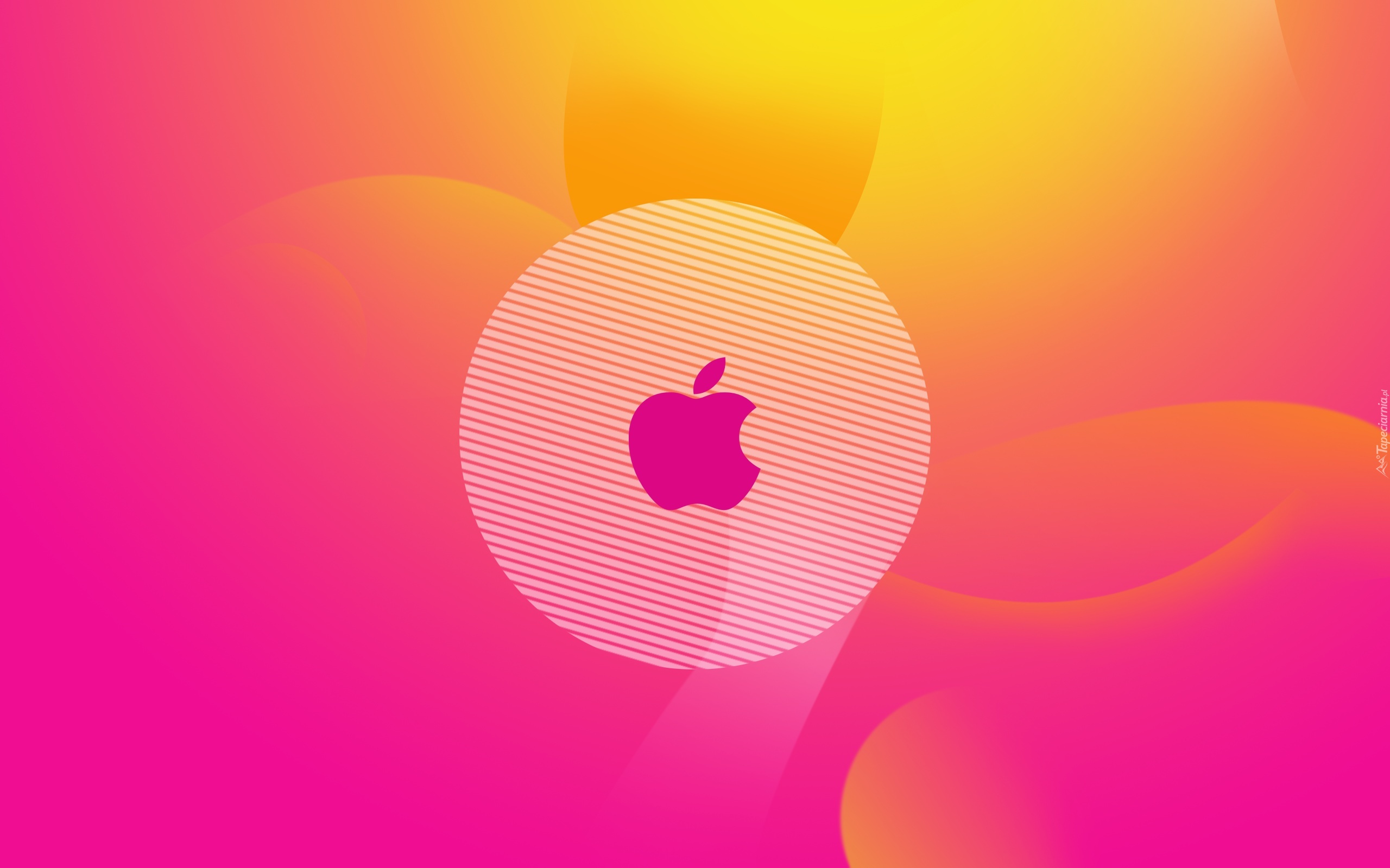 Różowe, Apple, Logo