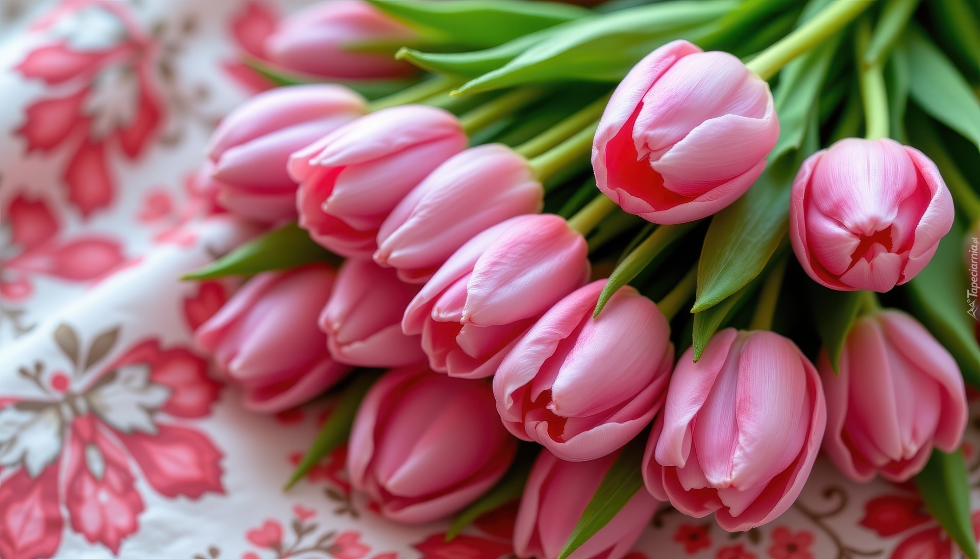 Różowe, Nierozkwitnięte, Tulipany