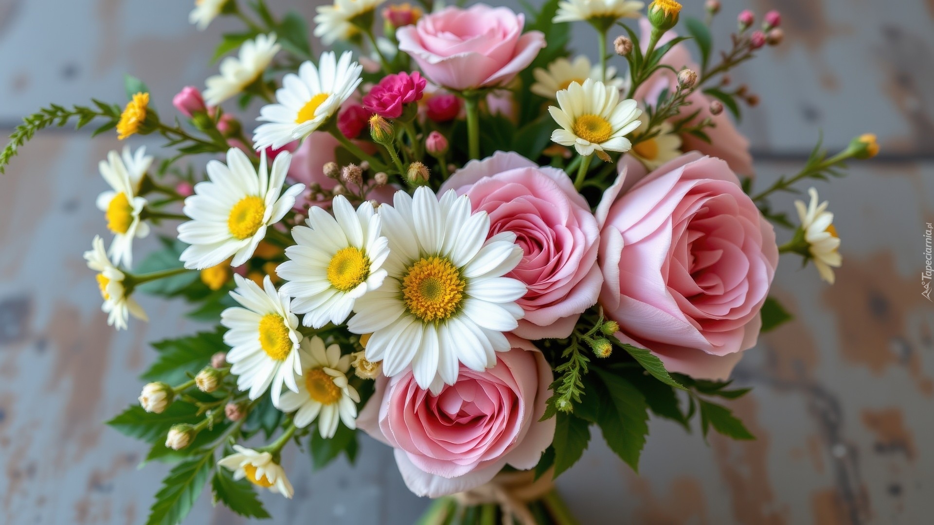 Kwiaty, Bukiet, Różowe, Róże, Białe, Margerytki