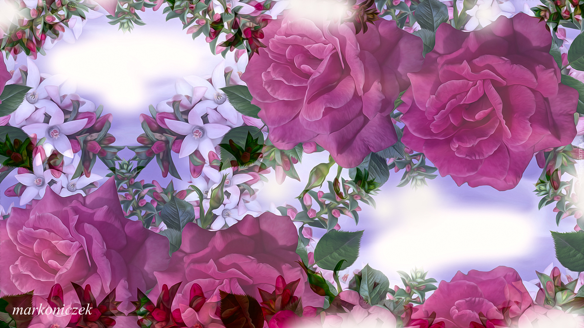 Różowe, Róże, Białe, Kwiatuszki, Grafika