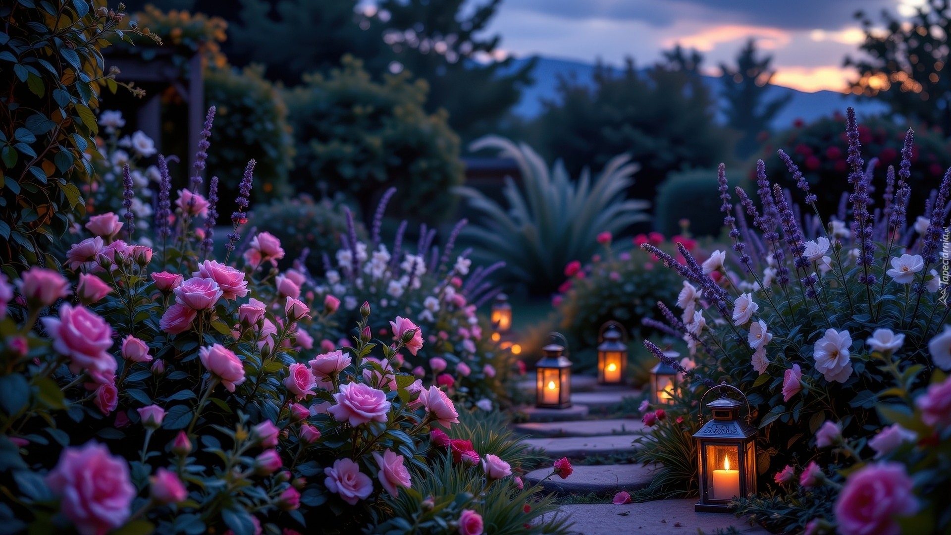 Ogród, Kwiaty, Różowe, Róże, Rośliny, Ozdobne, Lampiony