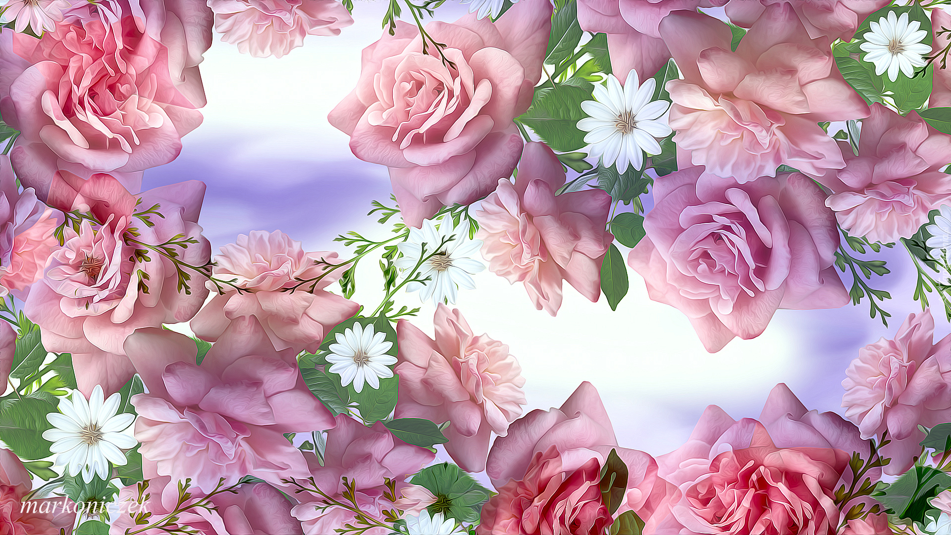 Kwiaty, Różowe, Róże, Białe, Kwiatuszki, Grafika
