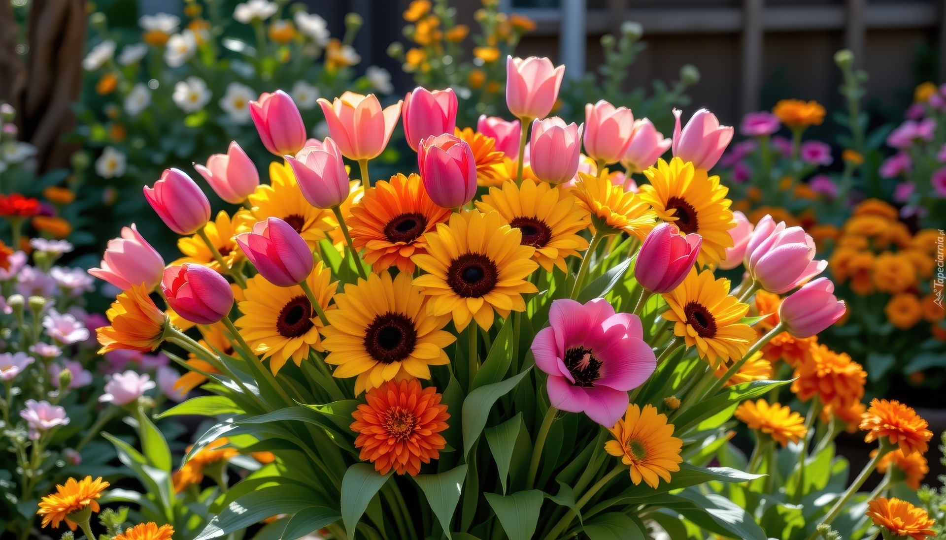 Kwiaty, Tulipany, Słoneczniki, Bukiet