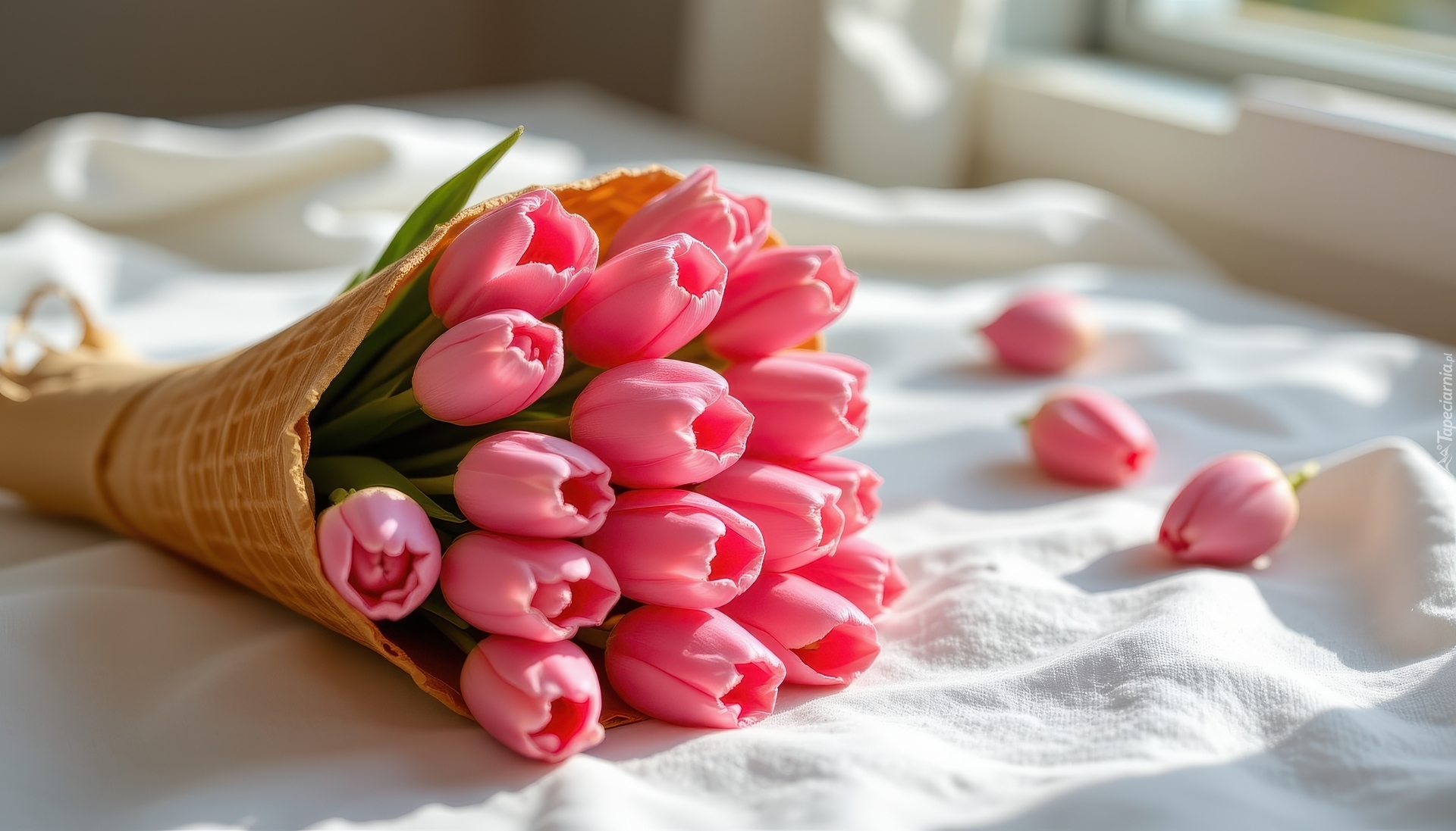 Różowe, Tulipany, Rożek