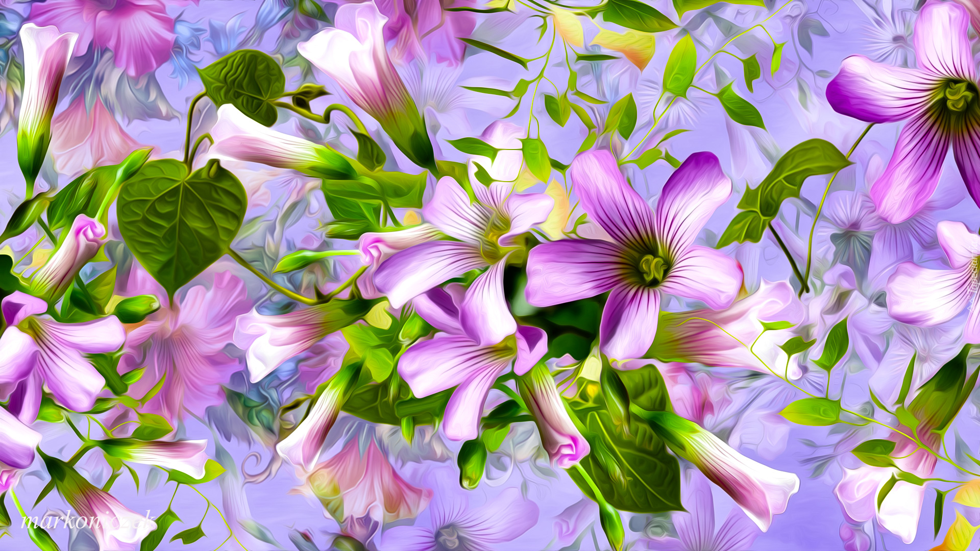 Drobne, Różowo-fioletowe, Kwiaty, Grafika