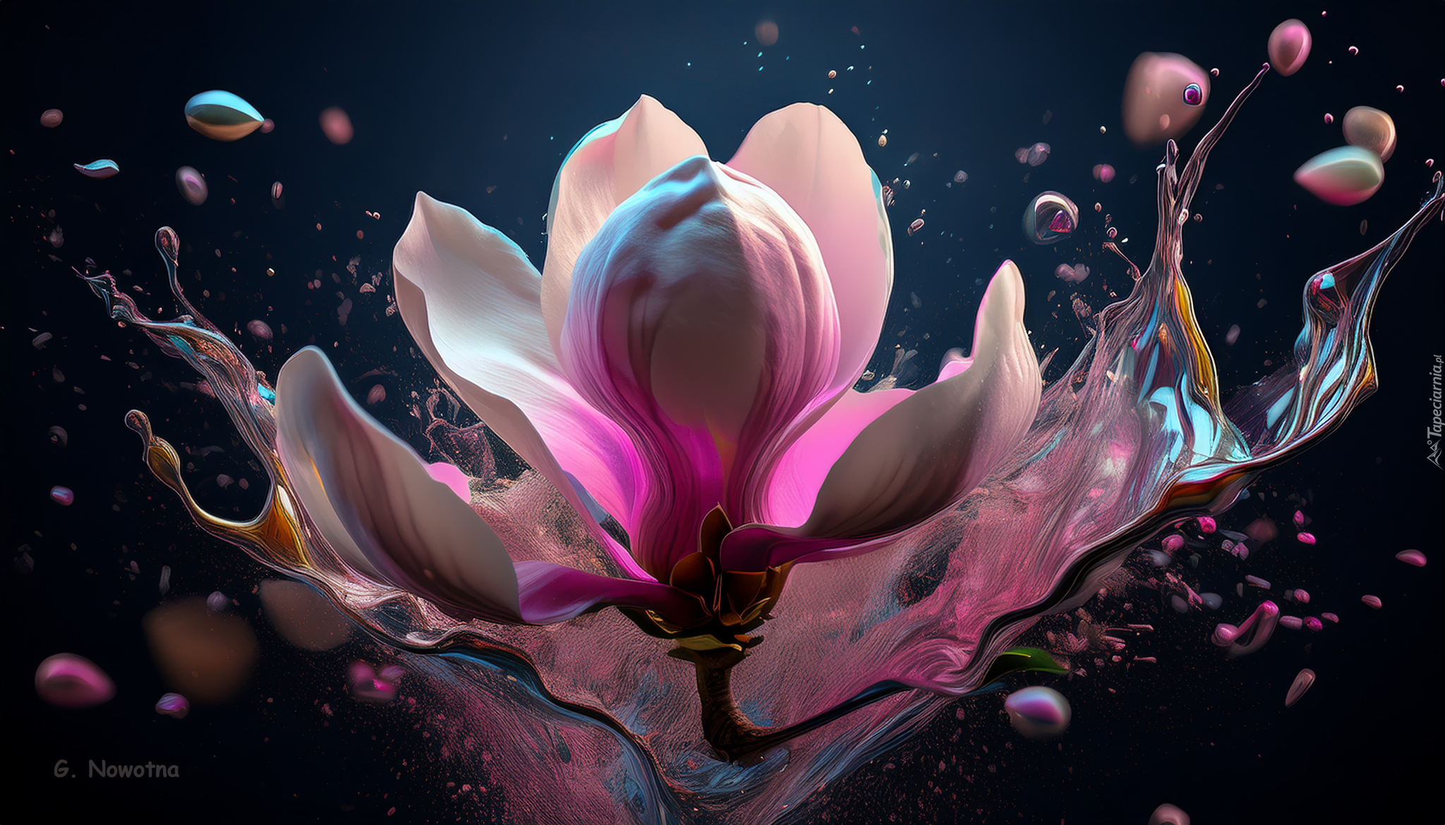 Magnolia, Rozbryzgi, Farba, Grafika