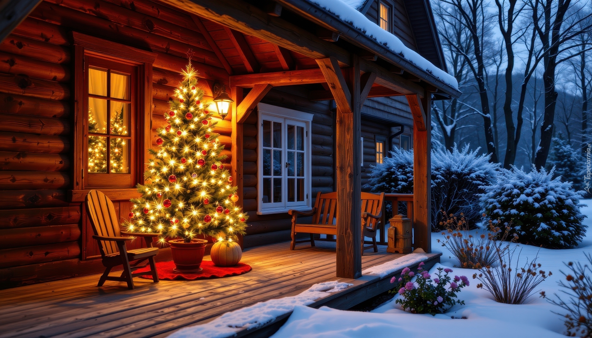 Boże Narodzenie, Zima, Choinka, Dom, Taras, Ogród