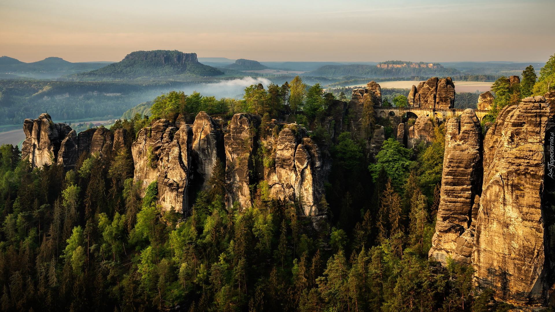 Park Narodowy Saskiej Szwajcarii, Skały, Bastei, Drzewa, Góry Połabskie, Niemcy
