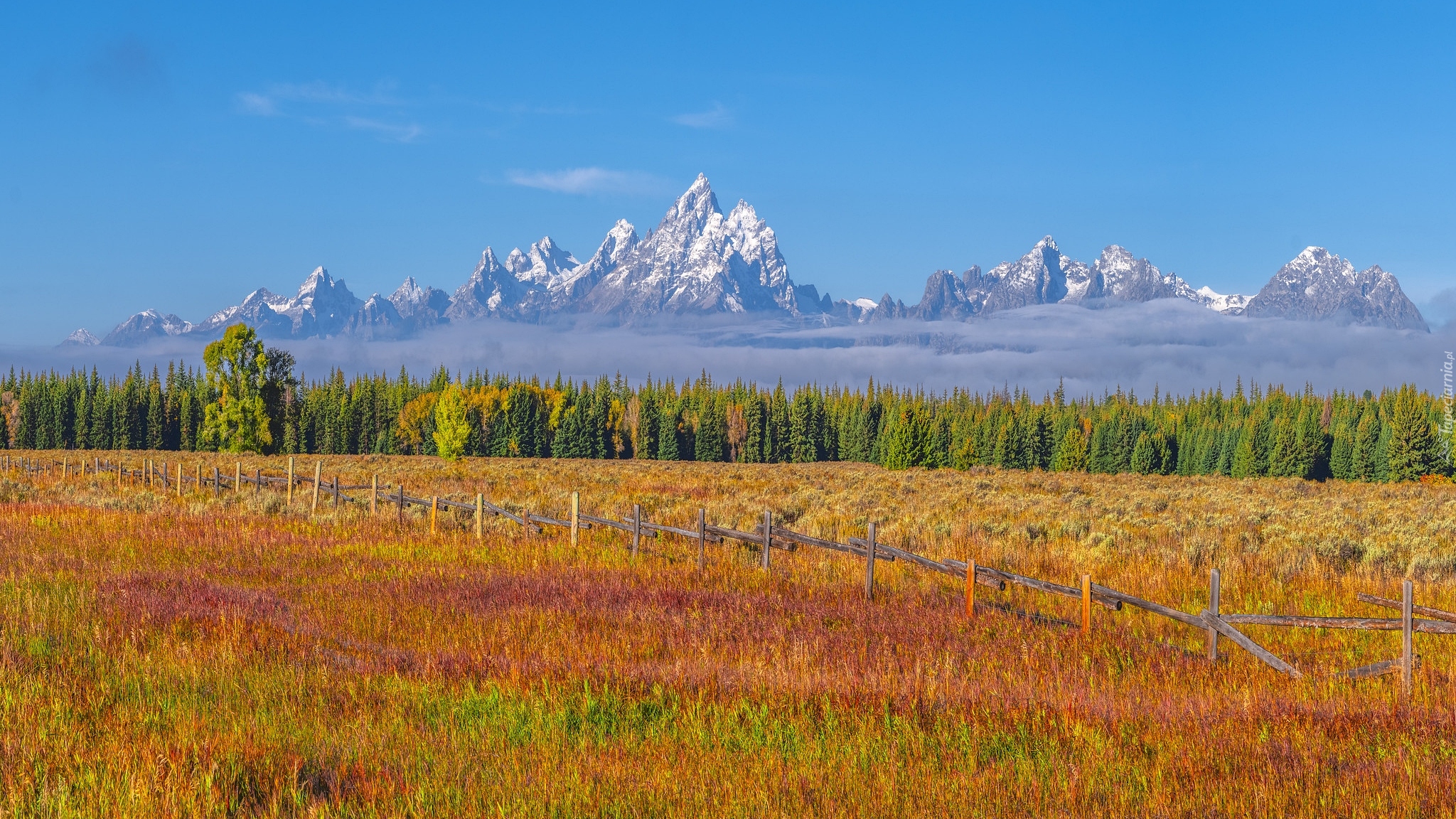 Jesień, Park Narodowy Grand Teton, Góry, Teton Range, Pole, Ogrodzenie, Drzewa, Stan Wyoming, Stany Zjednoczone