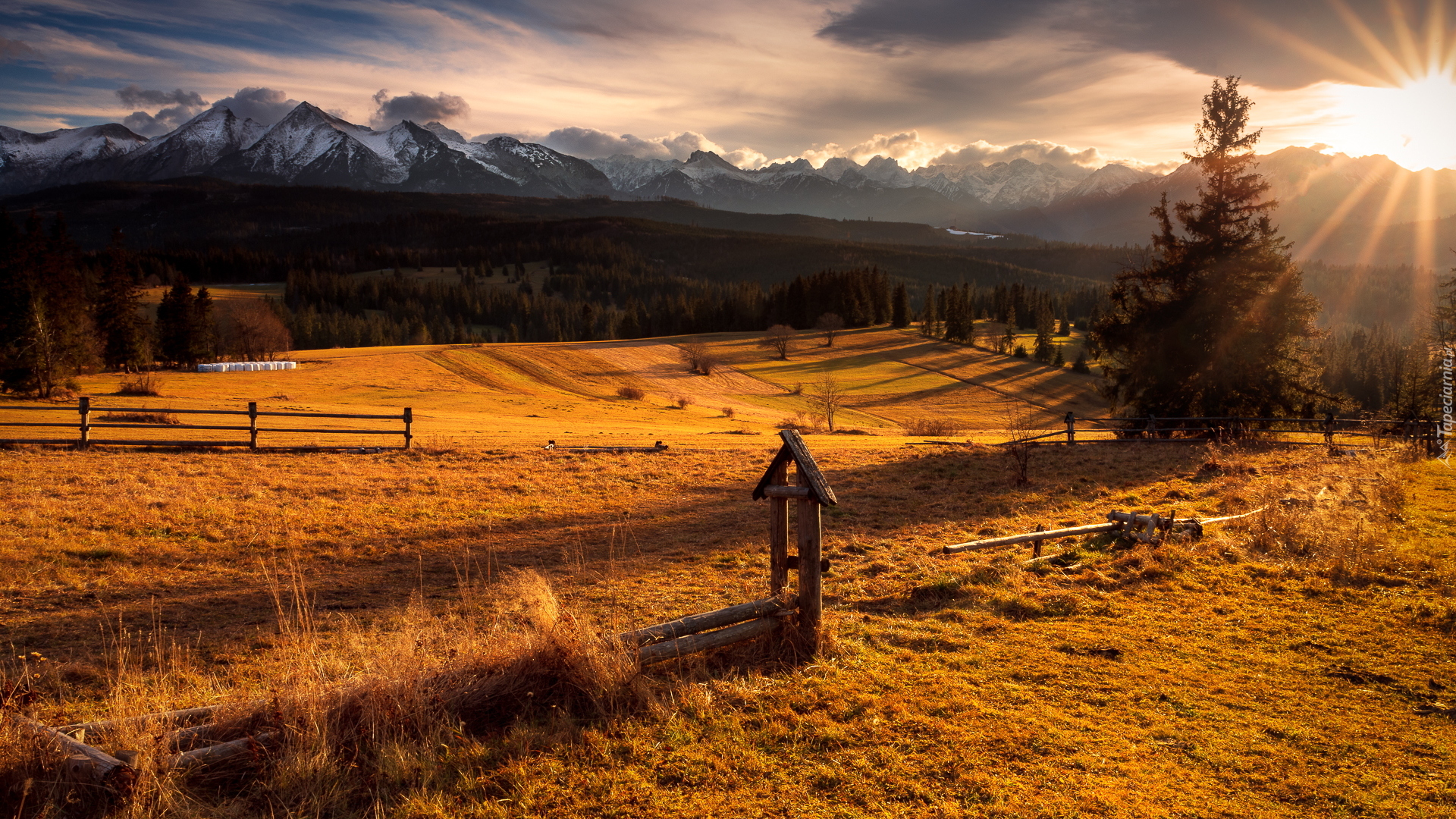 Jesień, Pola, Drzewo, Promienie słońca, Góry, Tatry, Polska