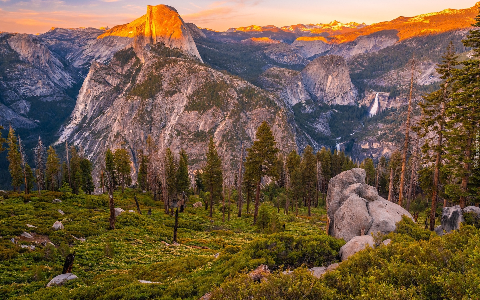Park Narodowy Yosemite, Góry, Góra, Half Dome, Drzewa, Roślinność, Skały, Kalifornia, Stany Zjednoczone