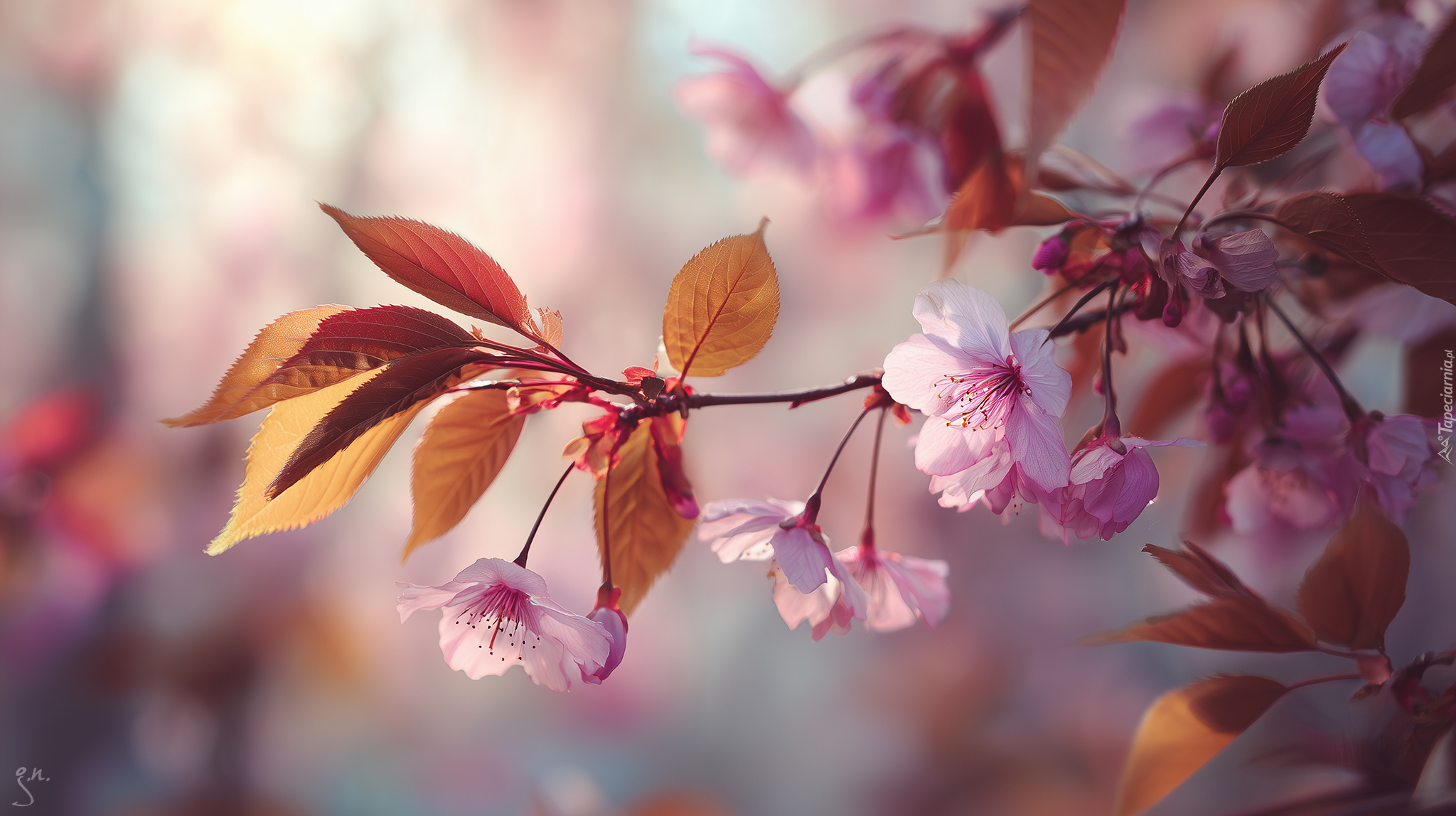 Różowe, Kwiaty, Drzewo owocowe, Grafika AI