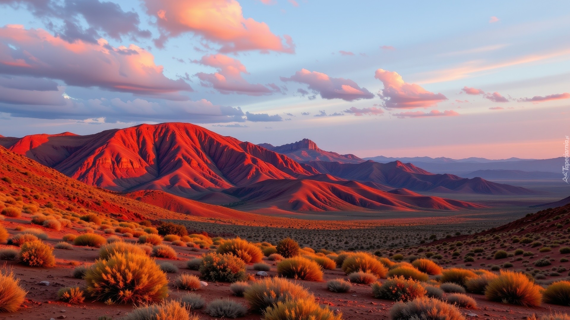 Czerwone, Góry, Kępki, Roślin