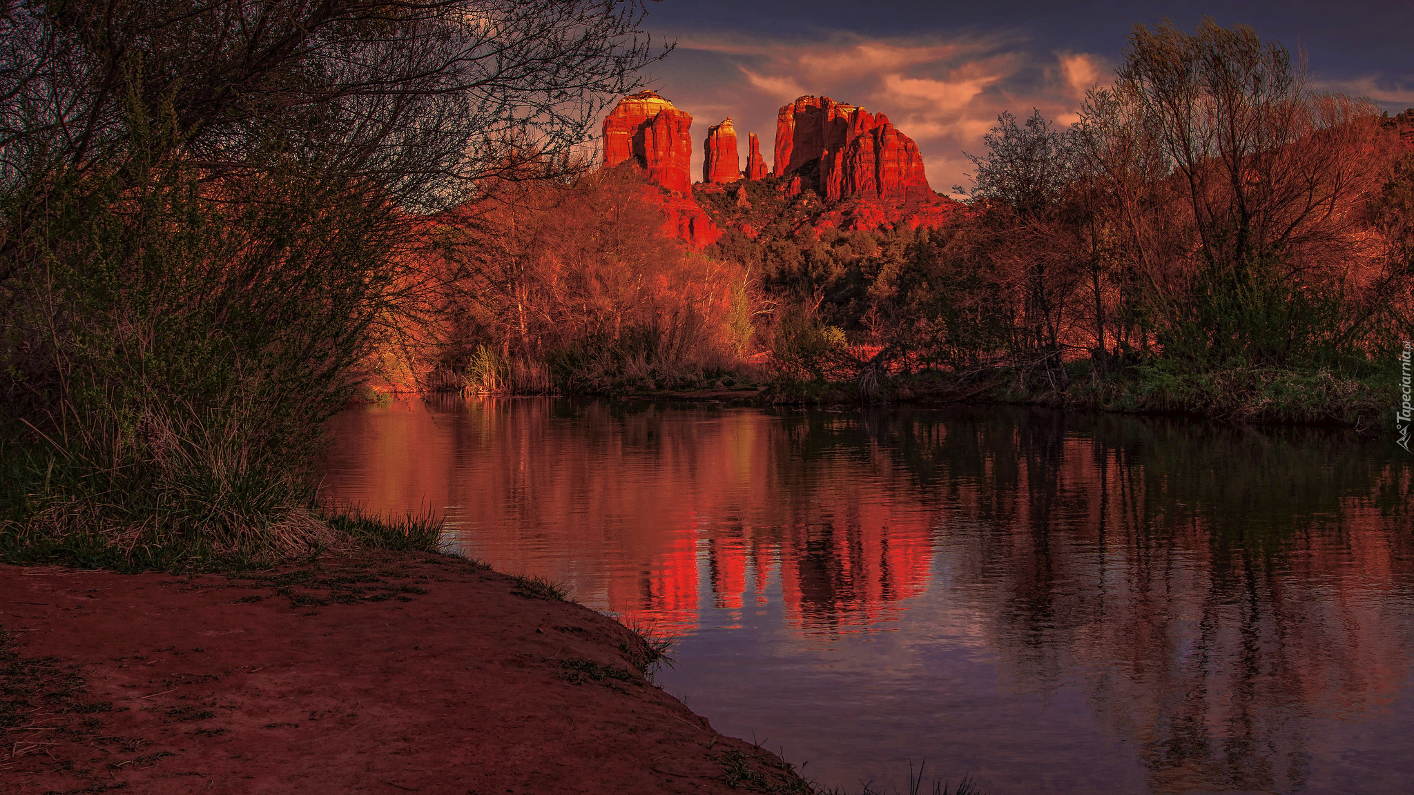 Góry, Czerwone, Skały, Cathedral Rock, Rzeka, Drzewa, Odbicie, Sedona, Arizona, Stany Zjednoczone