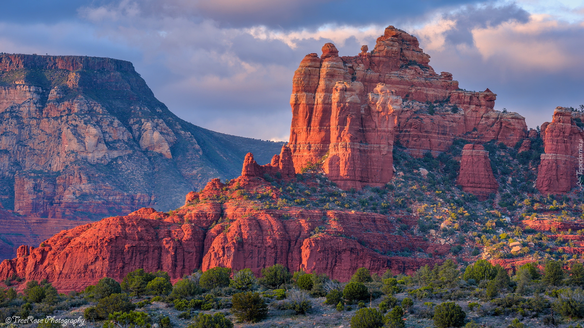 Czerwone, Skały, Sedona, Arizona, Stany Zjednoczone