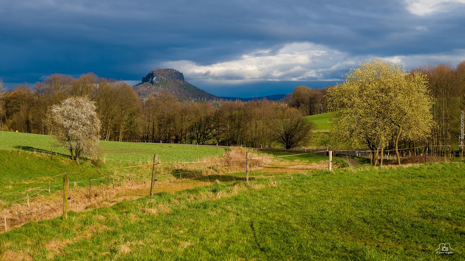 Góry, Lilienstein, Drzewa, Łąka, Ogrodzenie, Saksonia, Niemcy