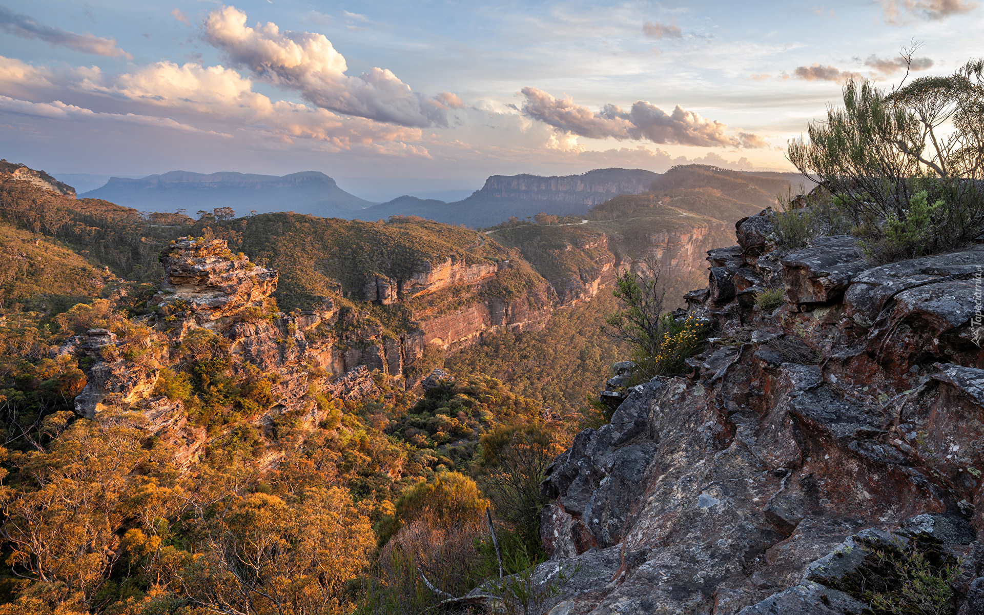 Australia, Nowa Południowa Walia, Blue Mountains, Góry, Park Narodowy Gór Błękitnych, Skały, Chmury, Lasy, Poranek