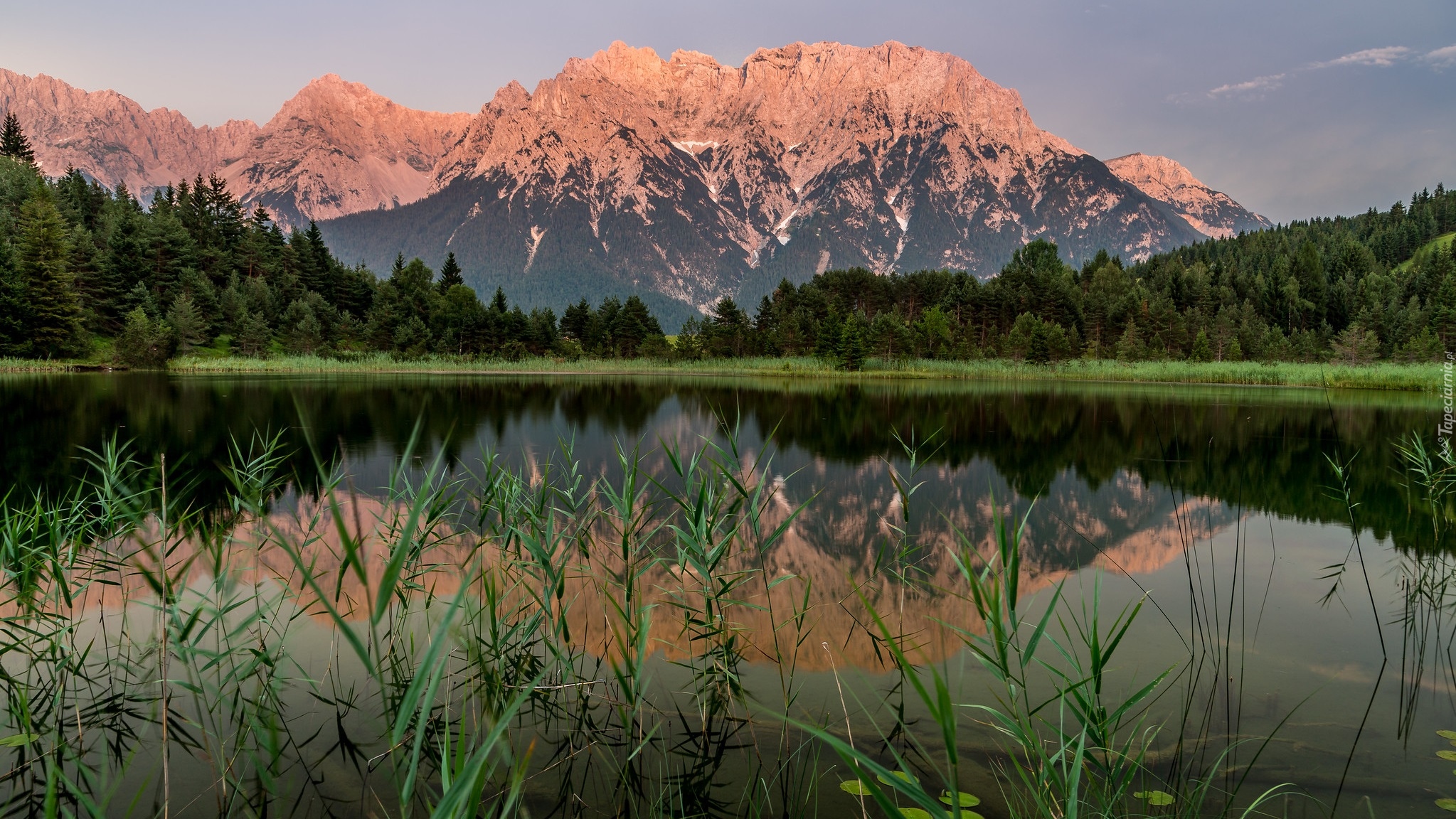 Góry, Jezioro, Drzewa, Trawy