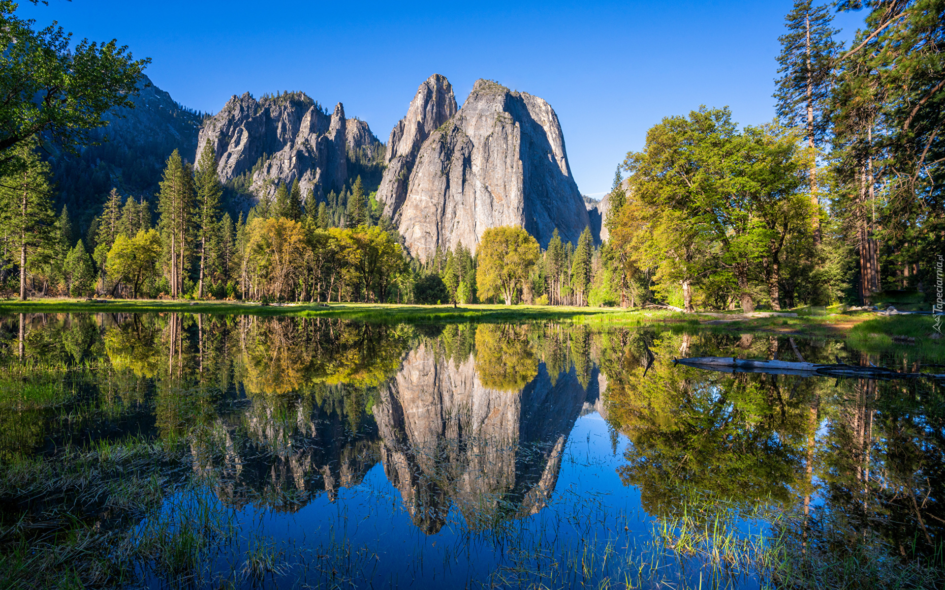 Stany Zjednoczone, Kalifornia, Park Narodowy Yosemite, Góry Sierra Nevada, Rzeka, Merced River, Drzewa, Odbicie