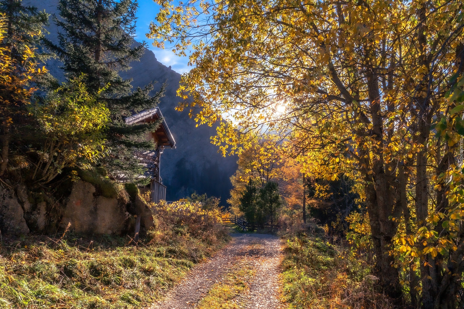 Jesień, Ścieżka, Dom, Drzewa, Góry