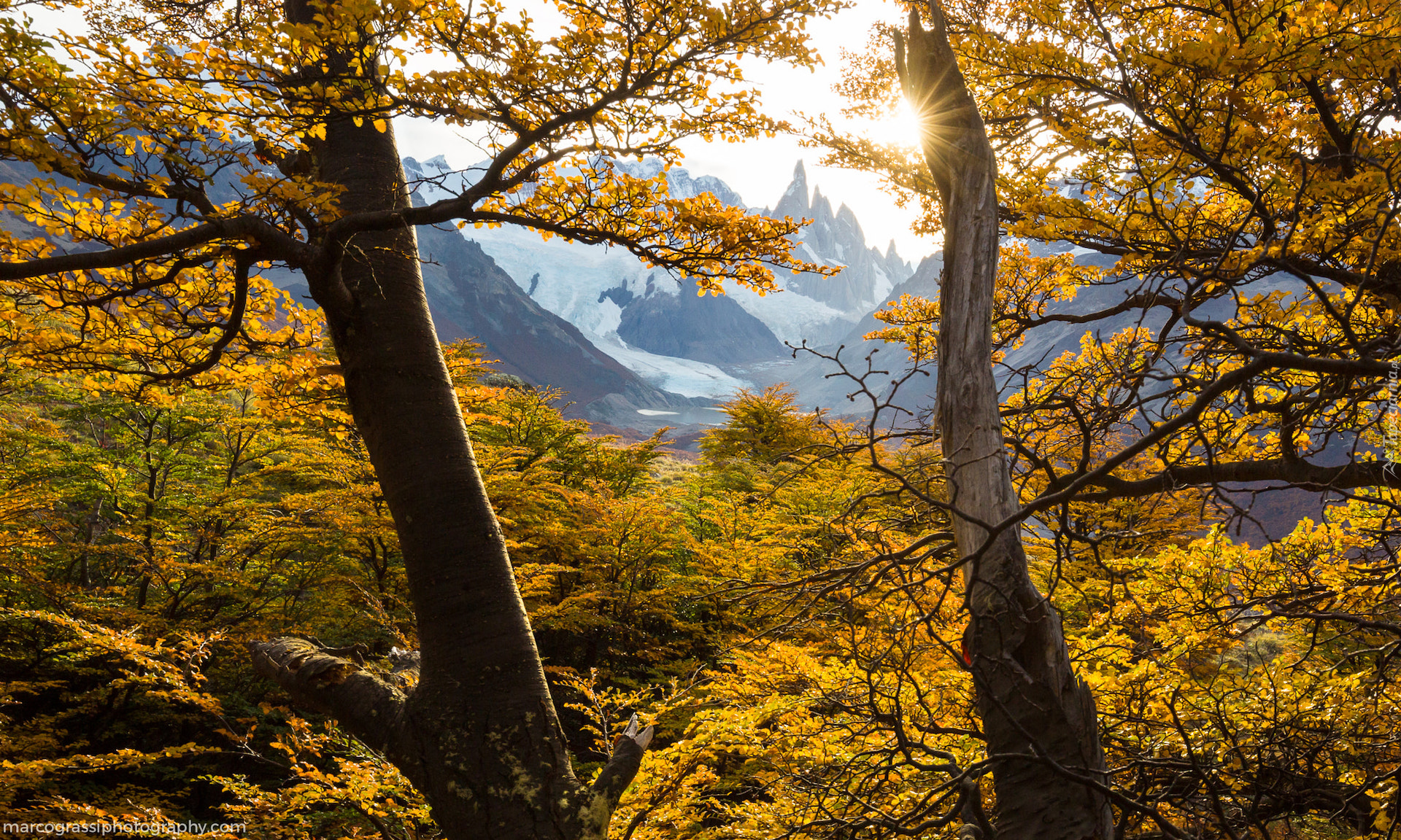 Argentyna, Patagonia, Góra, Fitz Roy, Jesień, Drzewa, Promienie słońca