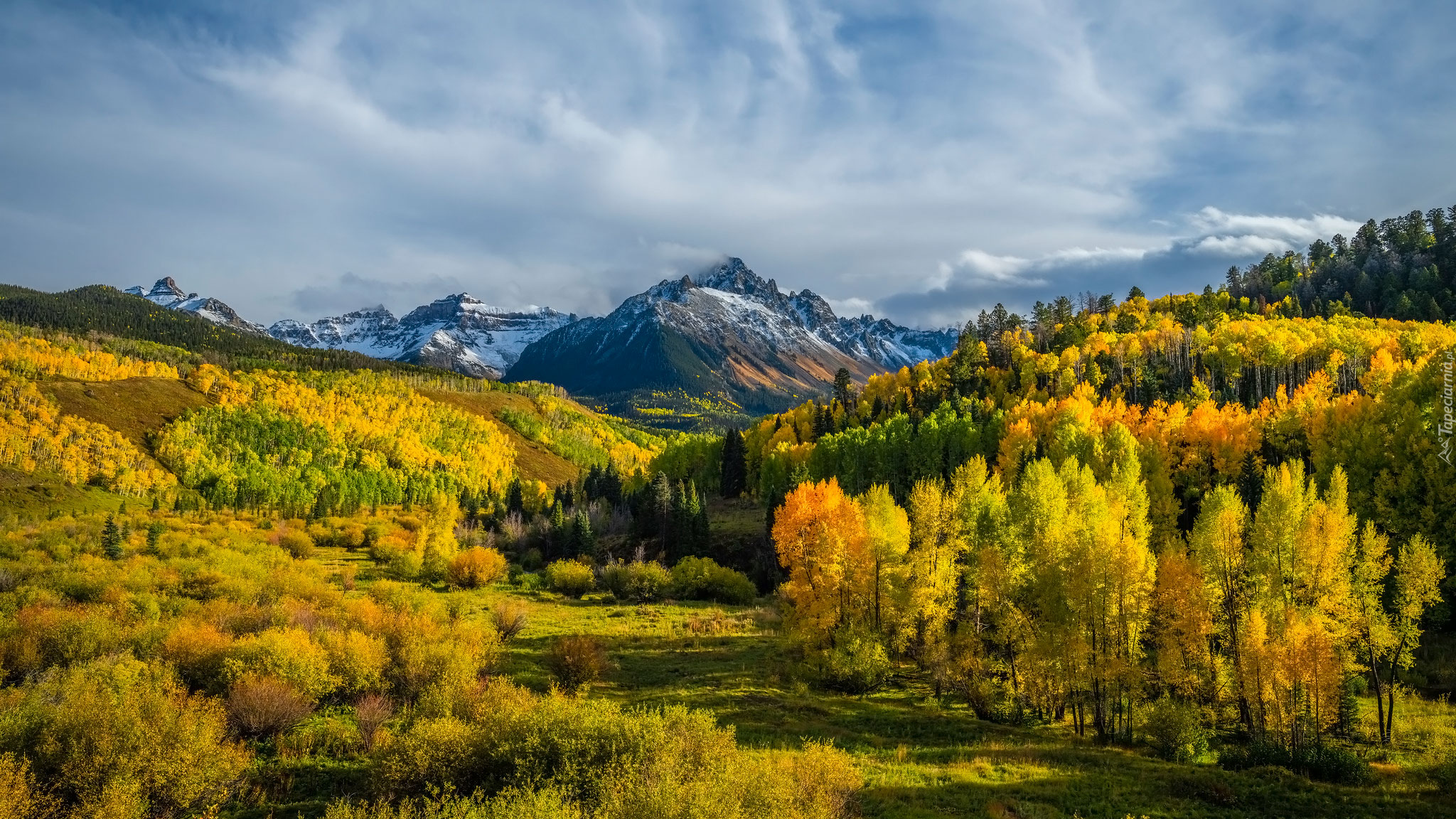 Jesień, Drzewa, Łąka, Góra, Mount Sneffels, Kolorado, Stany Zjednoczone
