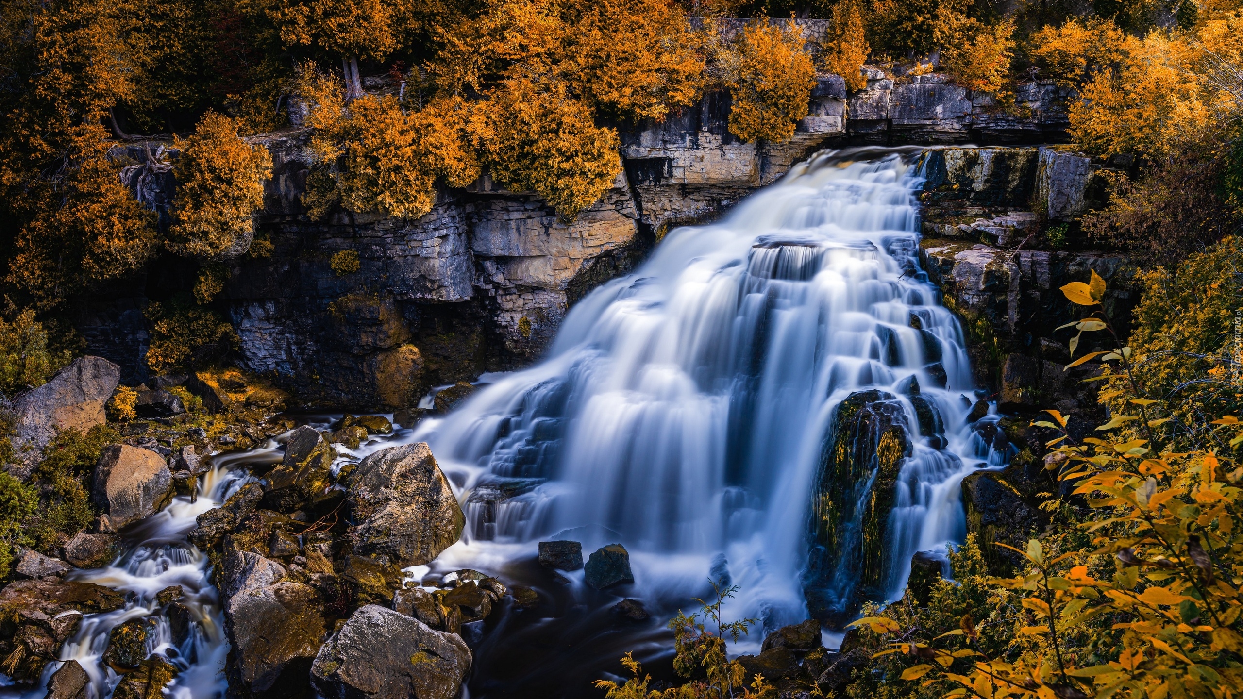 Kanada, Ontario, Inglis Falls, Wodospad, Skały, Jesień, Drzewa, Pożółkłe, Liście