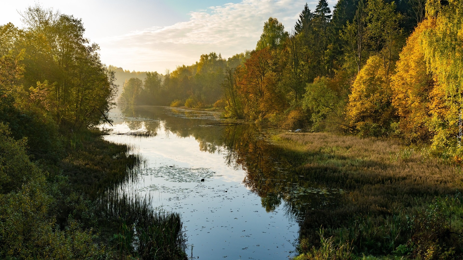 Jesień, Rzeka, Drzewa, Lasy