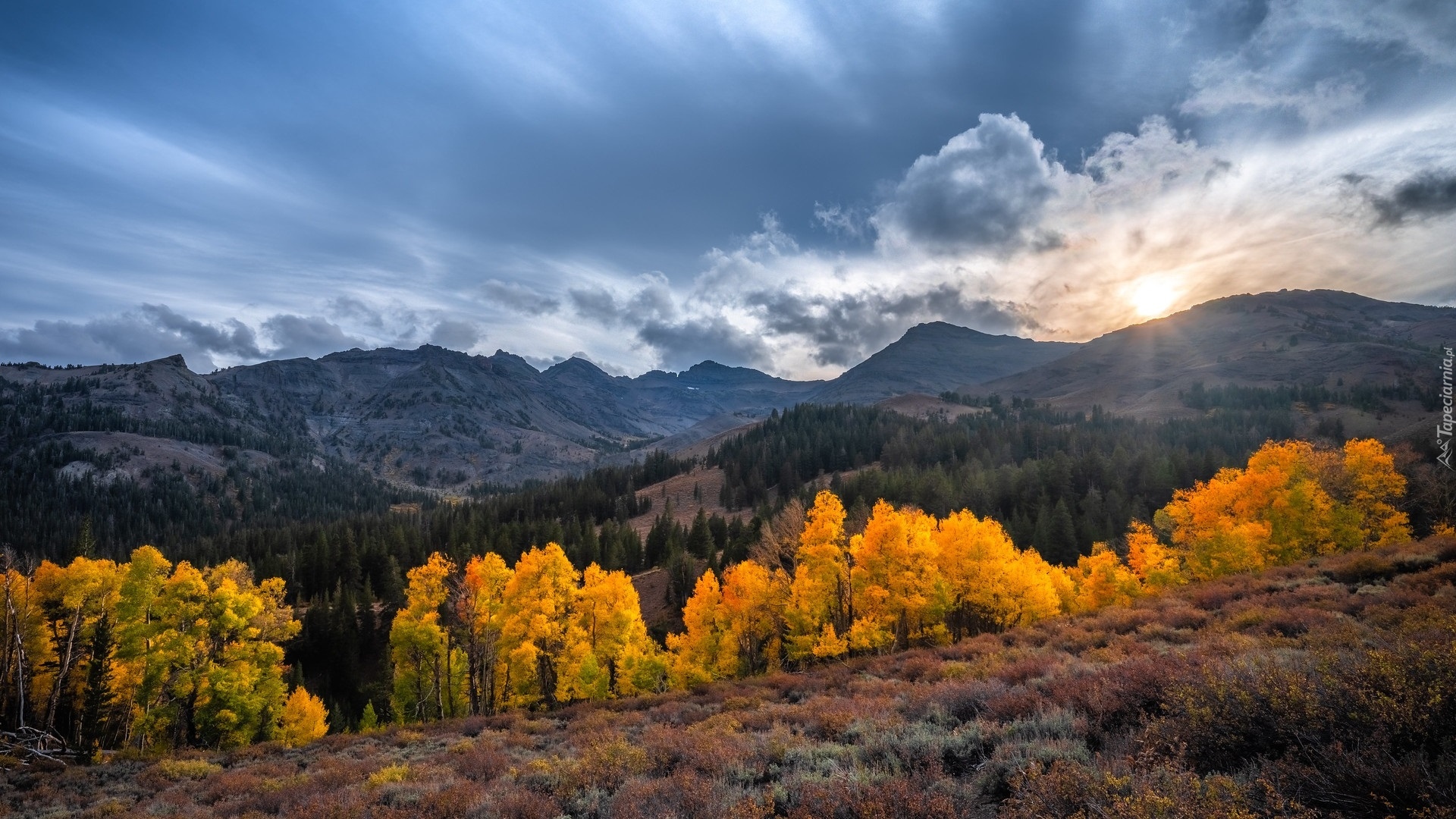 Jesień, Góry, Drzewa, Słońce, Rośliny, Stany Zjednoczone, Kalifornia, Eastern Sierra, Sonora Pass
