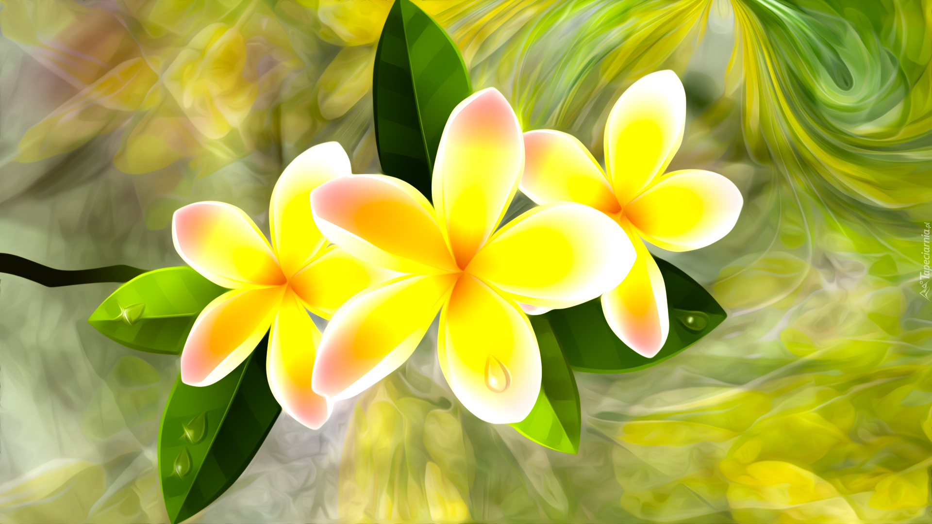 Kwiaty, Plumeria, Grafika