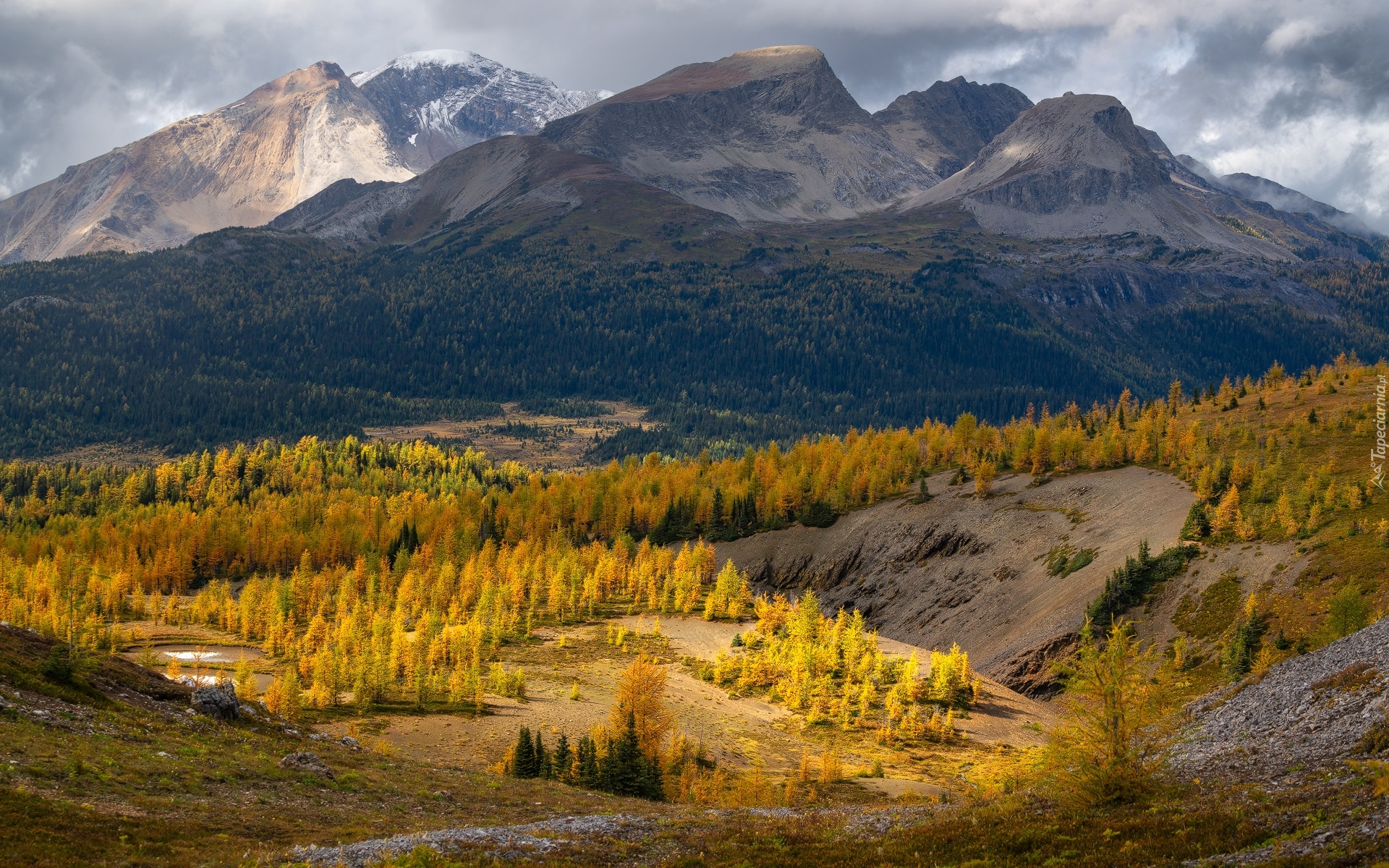 Góry, Góra, Nub Peak, Las, Drzewa, Jesień, Chmury, Park prowincjonalny Mount Assiniboine, Kolumbia Brytyjska, Kanada