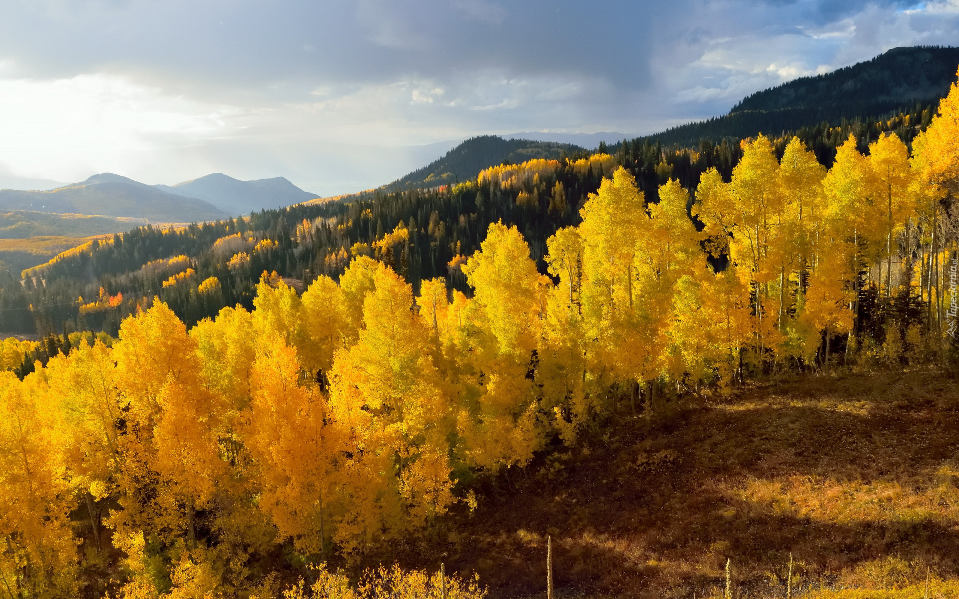 Jesień, Góry, Żółte, Drzewa, Niebo
