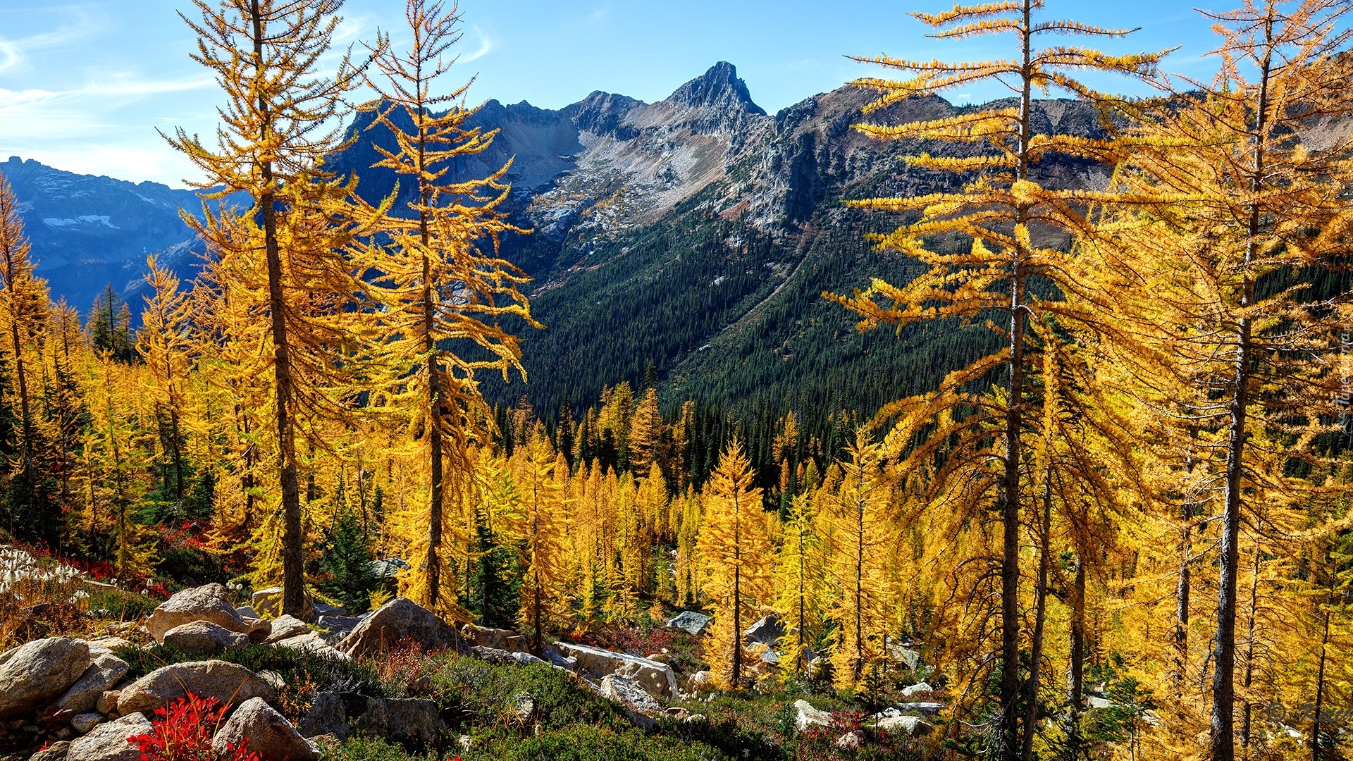 Jesień, Góry, Kamienie, Drzewa, Żółte