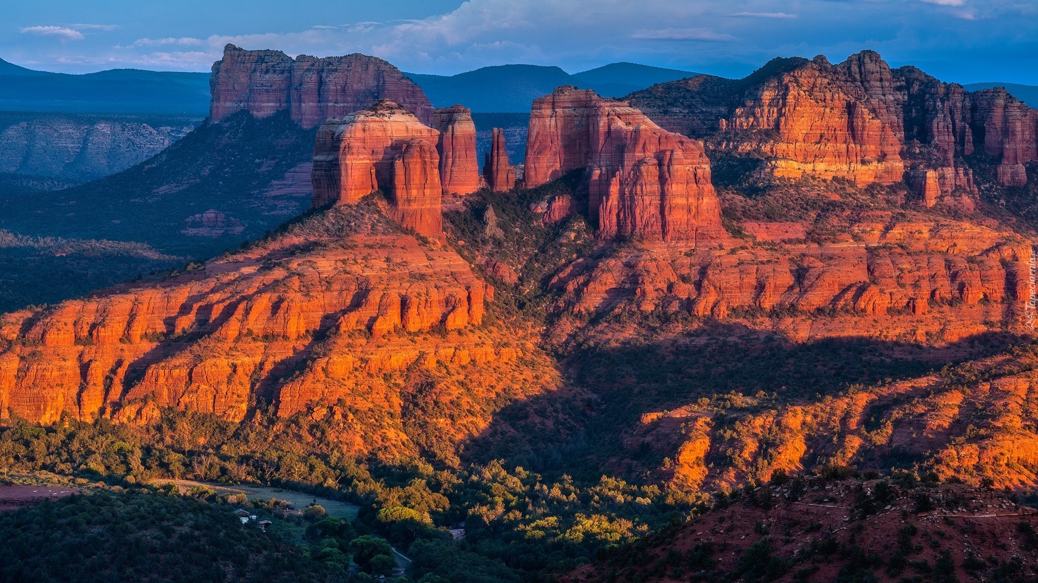 Stany Zjednoczone, Arizona, Skały, Cathedral Rock, Sedona, Drzewa