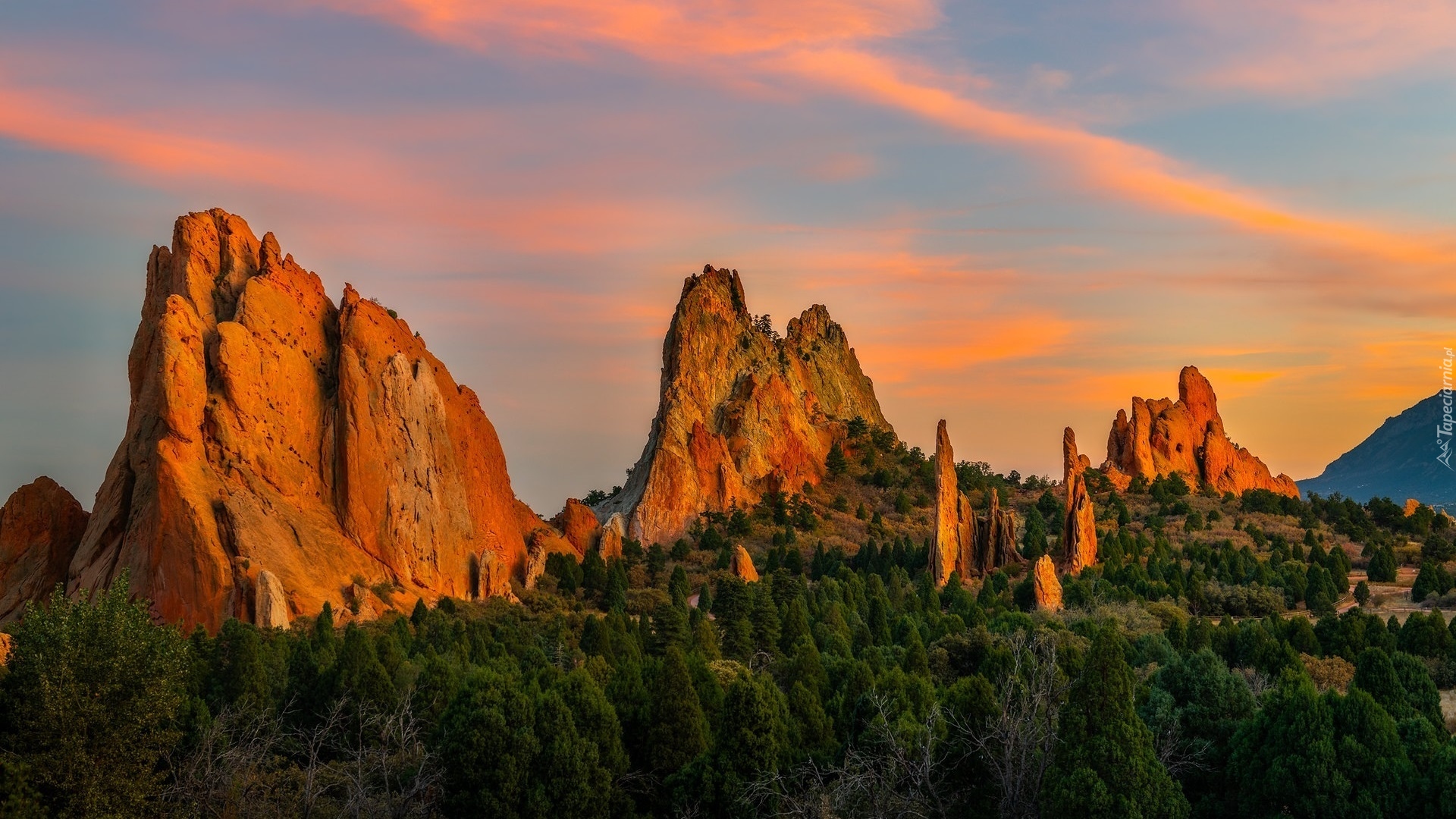 Zachód słońca, Skały, Drzewa, Formacje skalne, Park, Garden of the Gods, Colorado Springs, Kolorado, Stany Zjednoczone