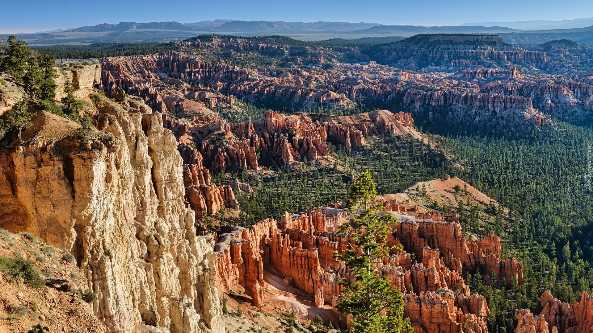 Skały, Góry, Kanion, Drzewa, Park Narodowy Bryce Canyon, Stan Utah, Stany Zjednoczone